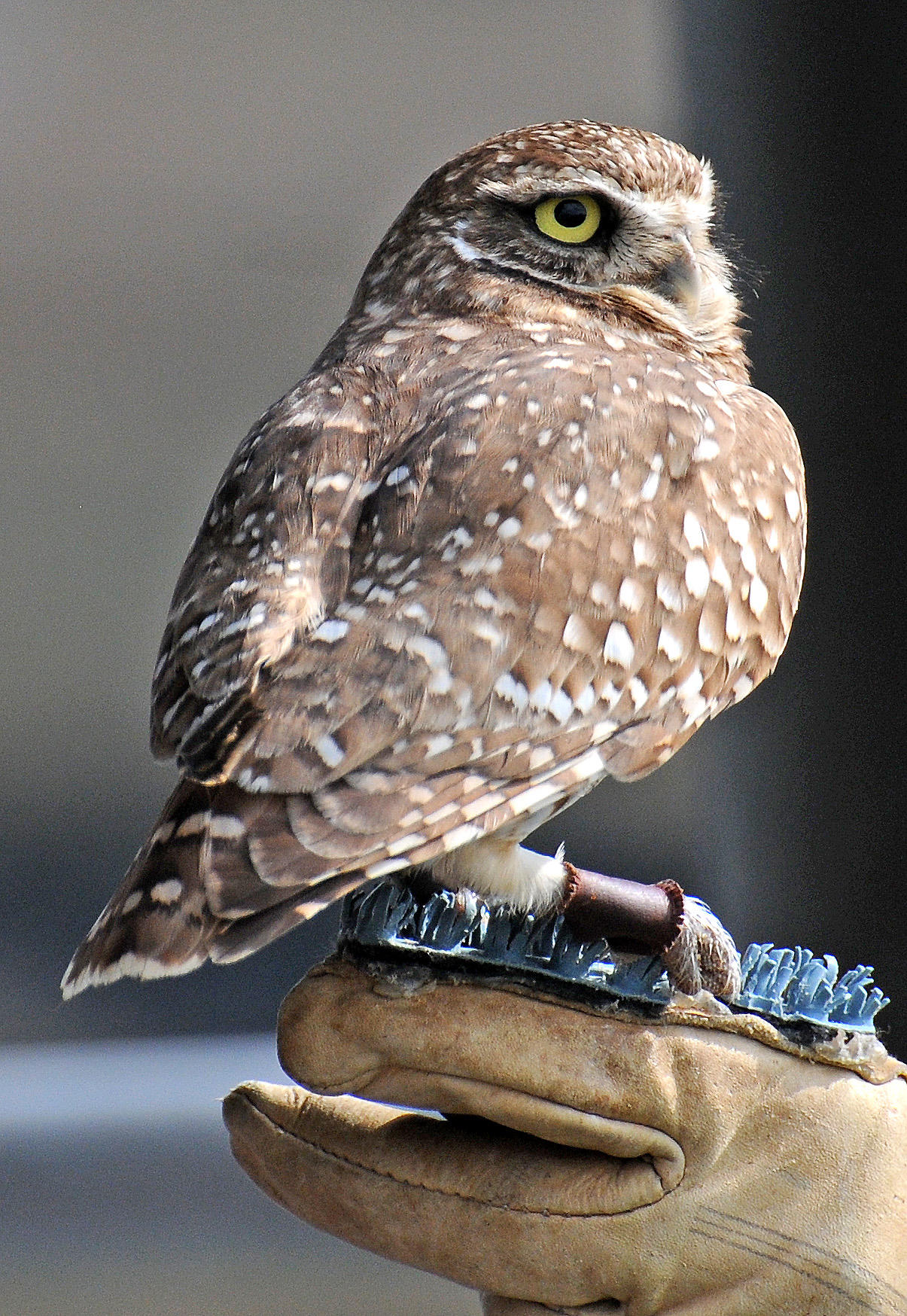 Chula Vista Nature Center in San Diego