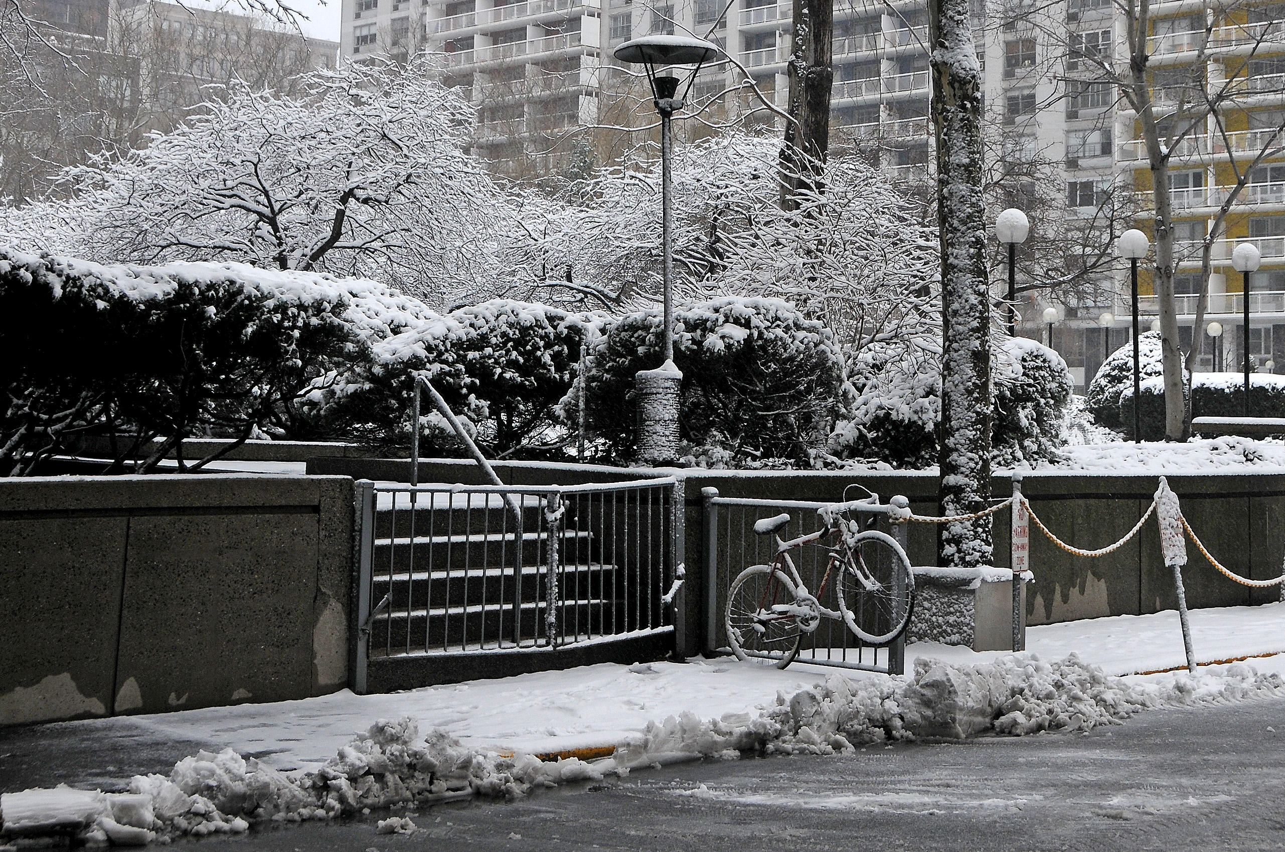 Winter Snow