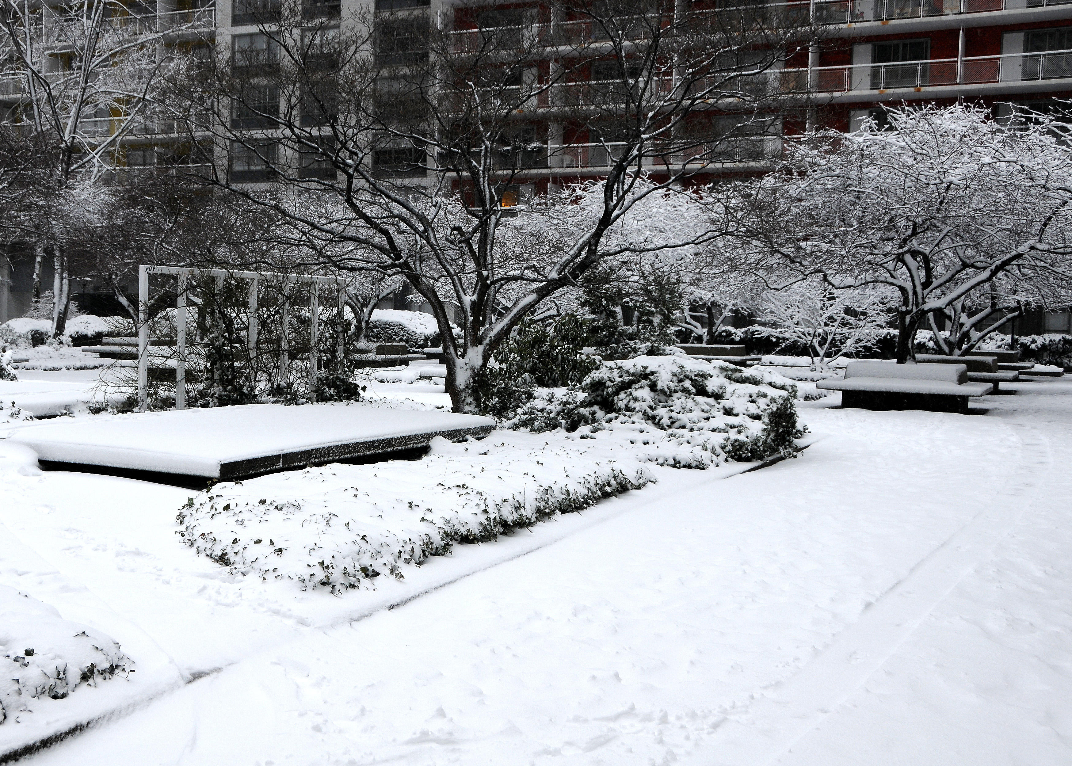 Winter Snow