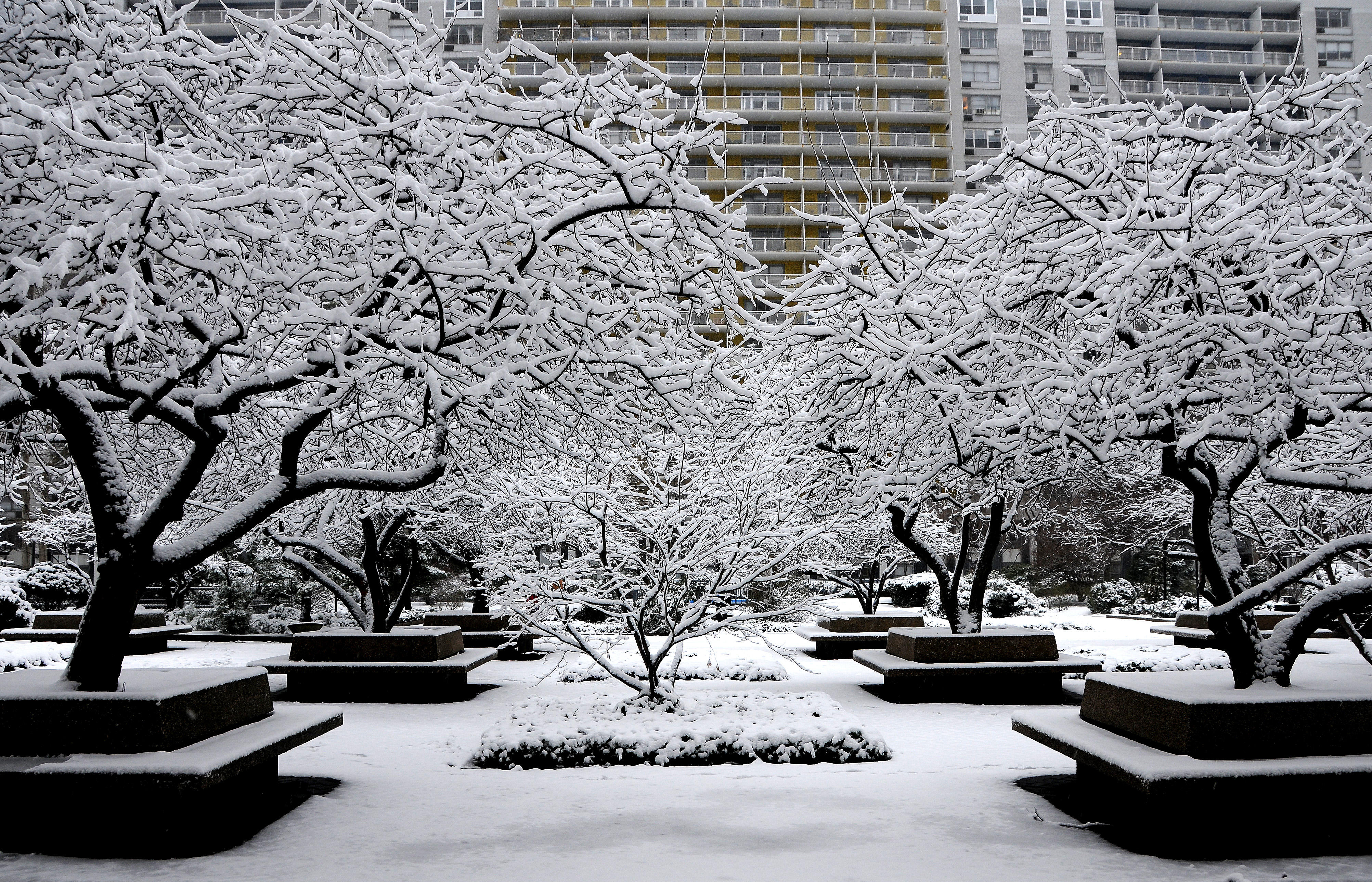 Winter Snow