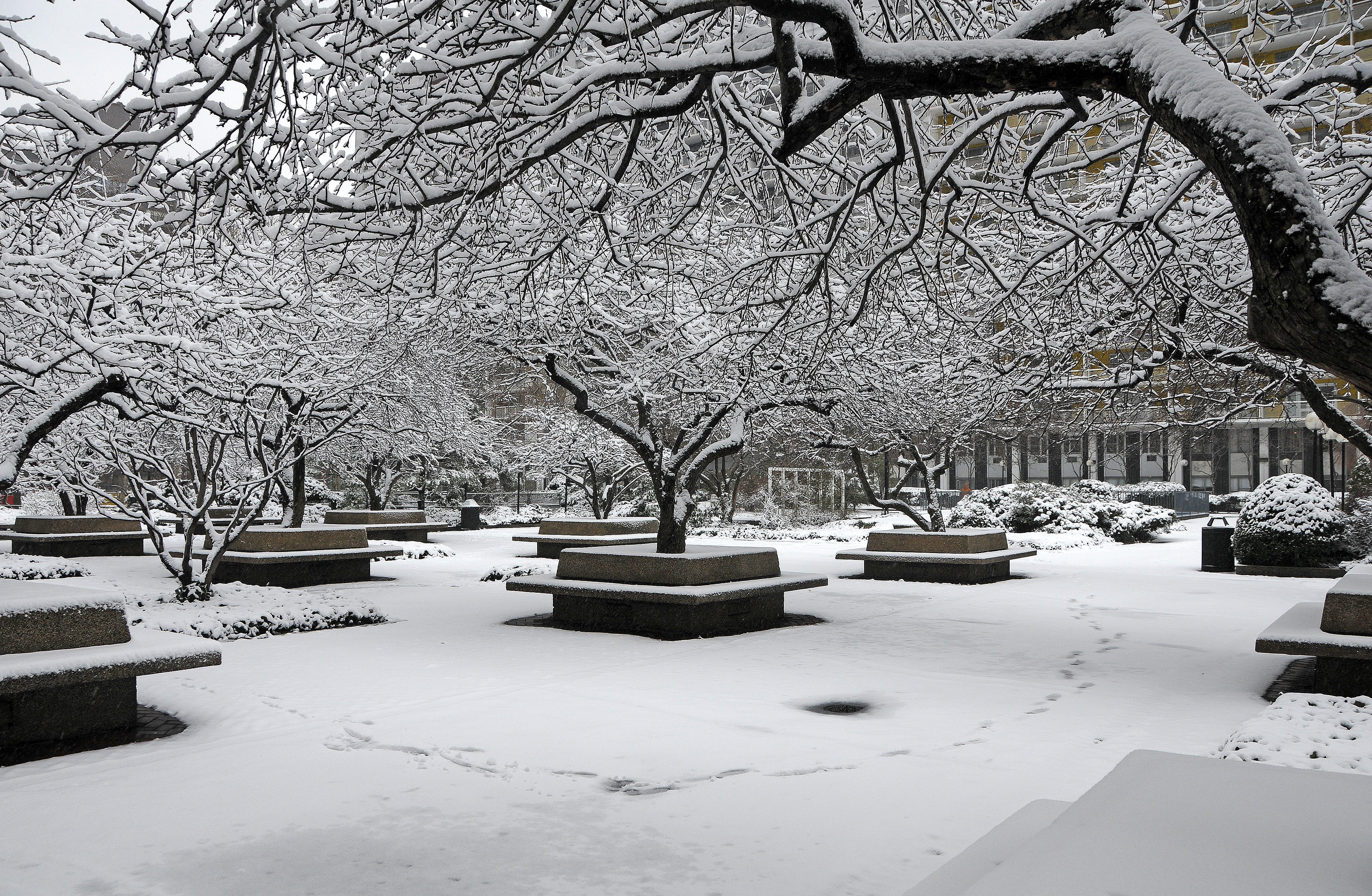 Winter Snow
