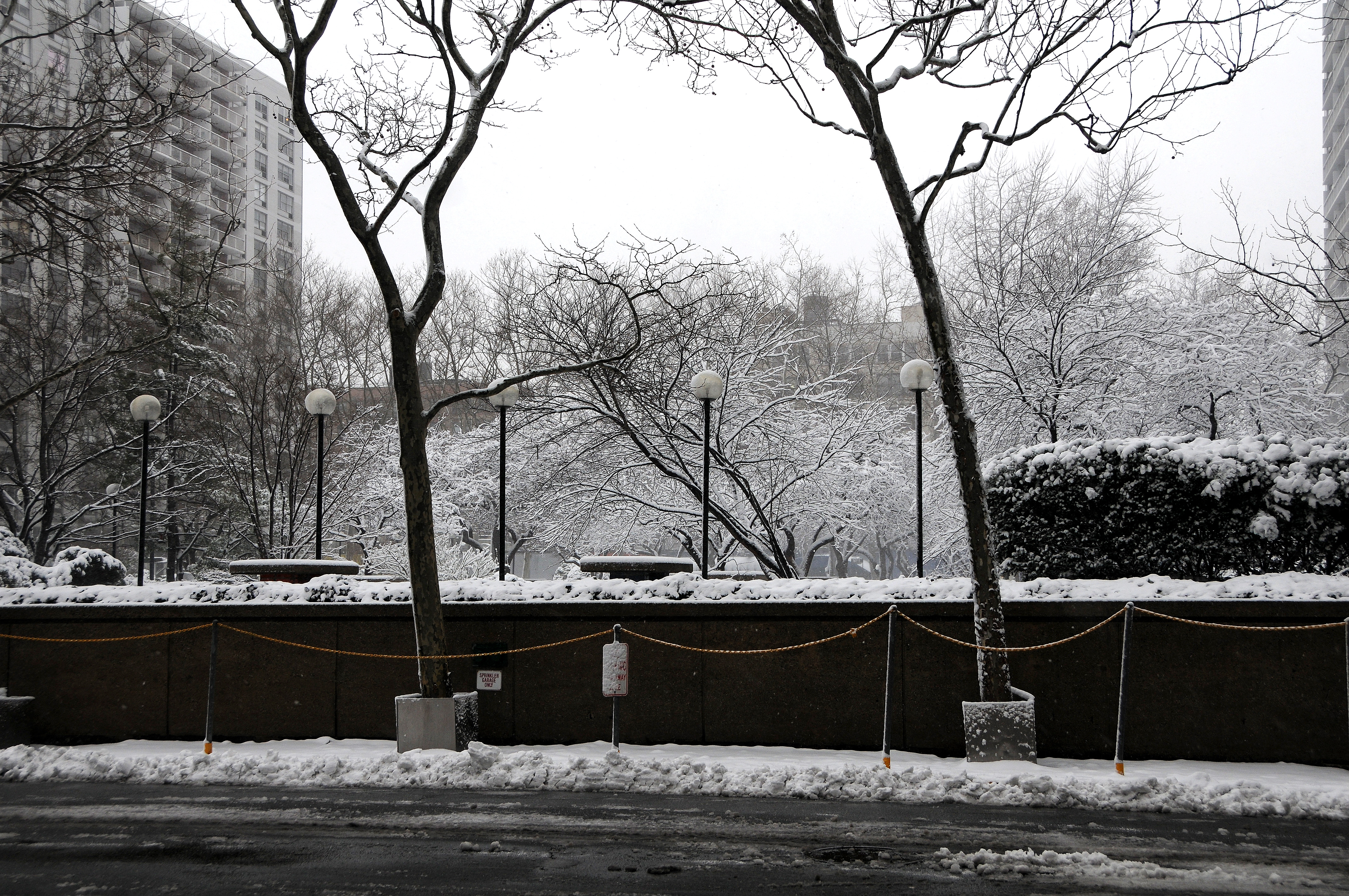 Winter Snow