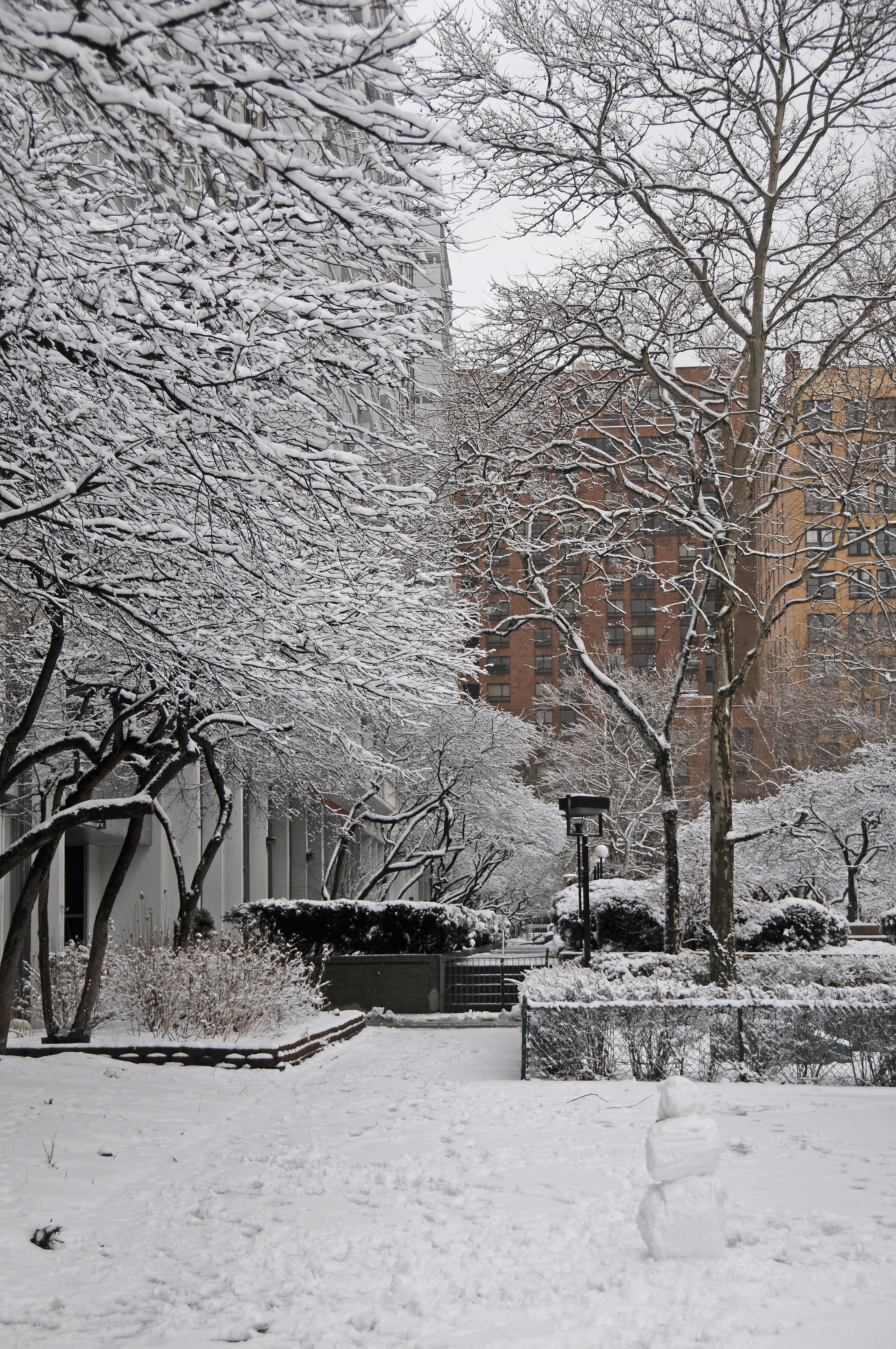 Winter Snow