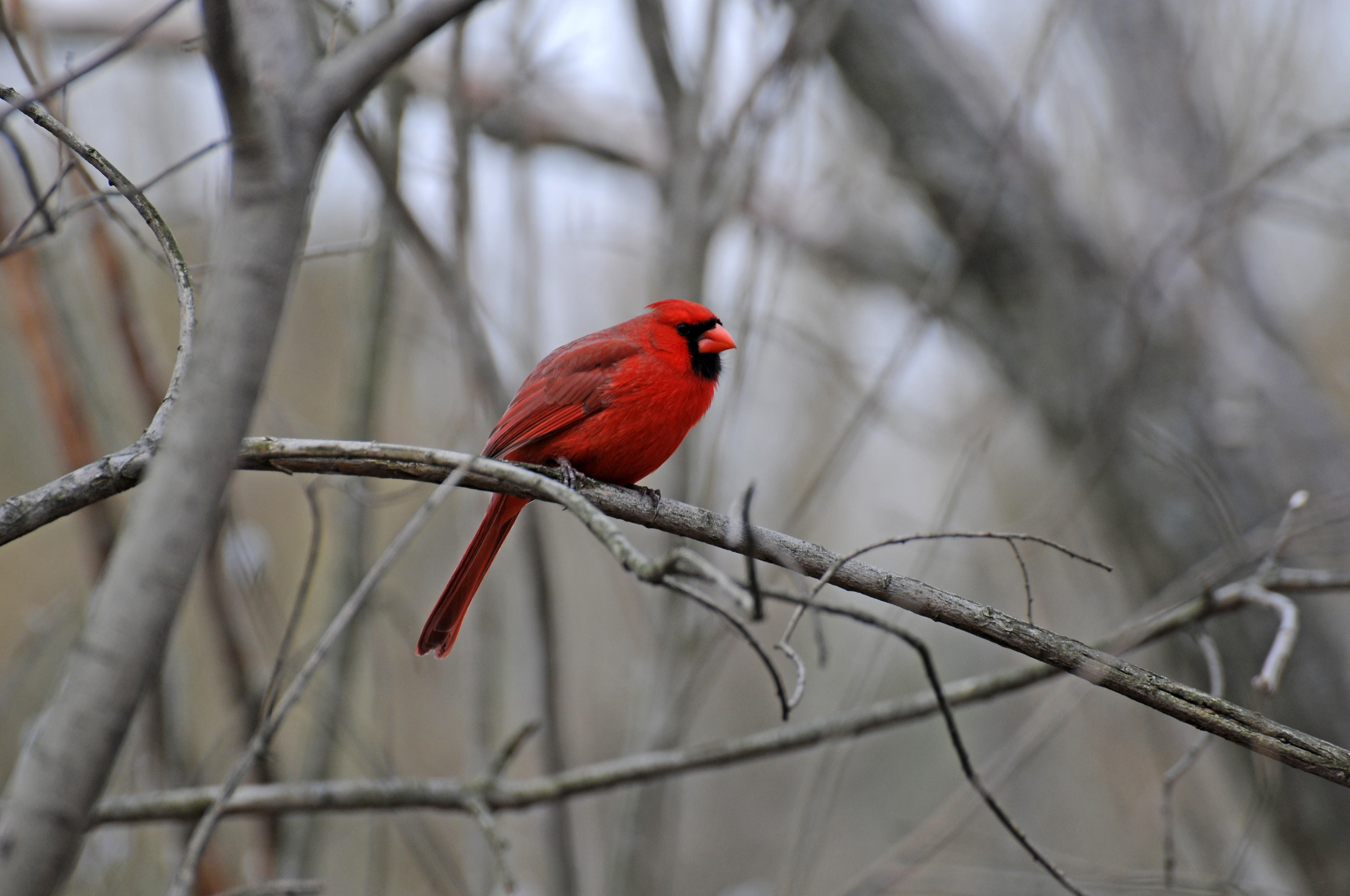 DSC_6093.JPG