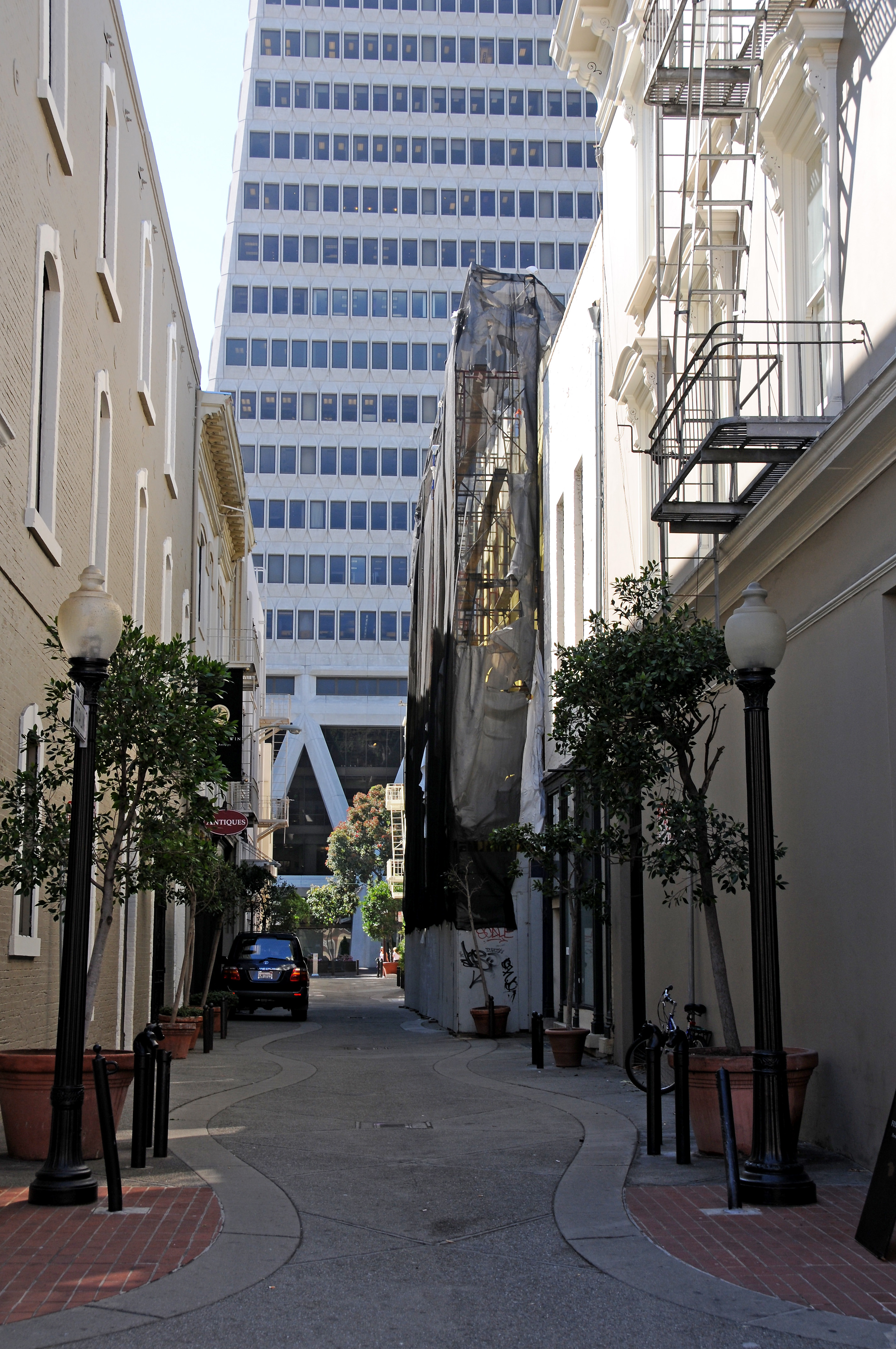 DSC_4320.JPG