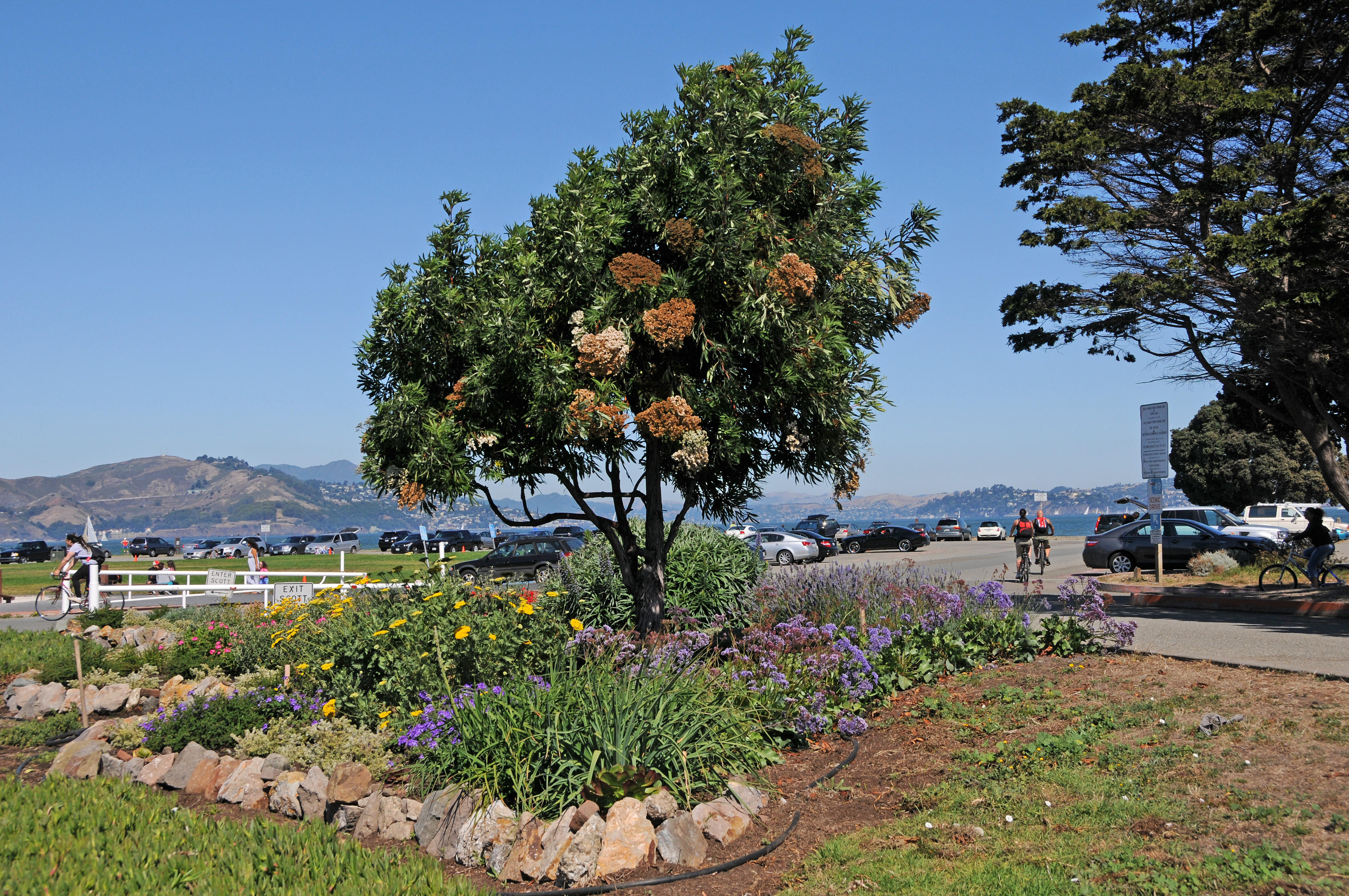 Marina Recreational Park