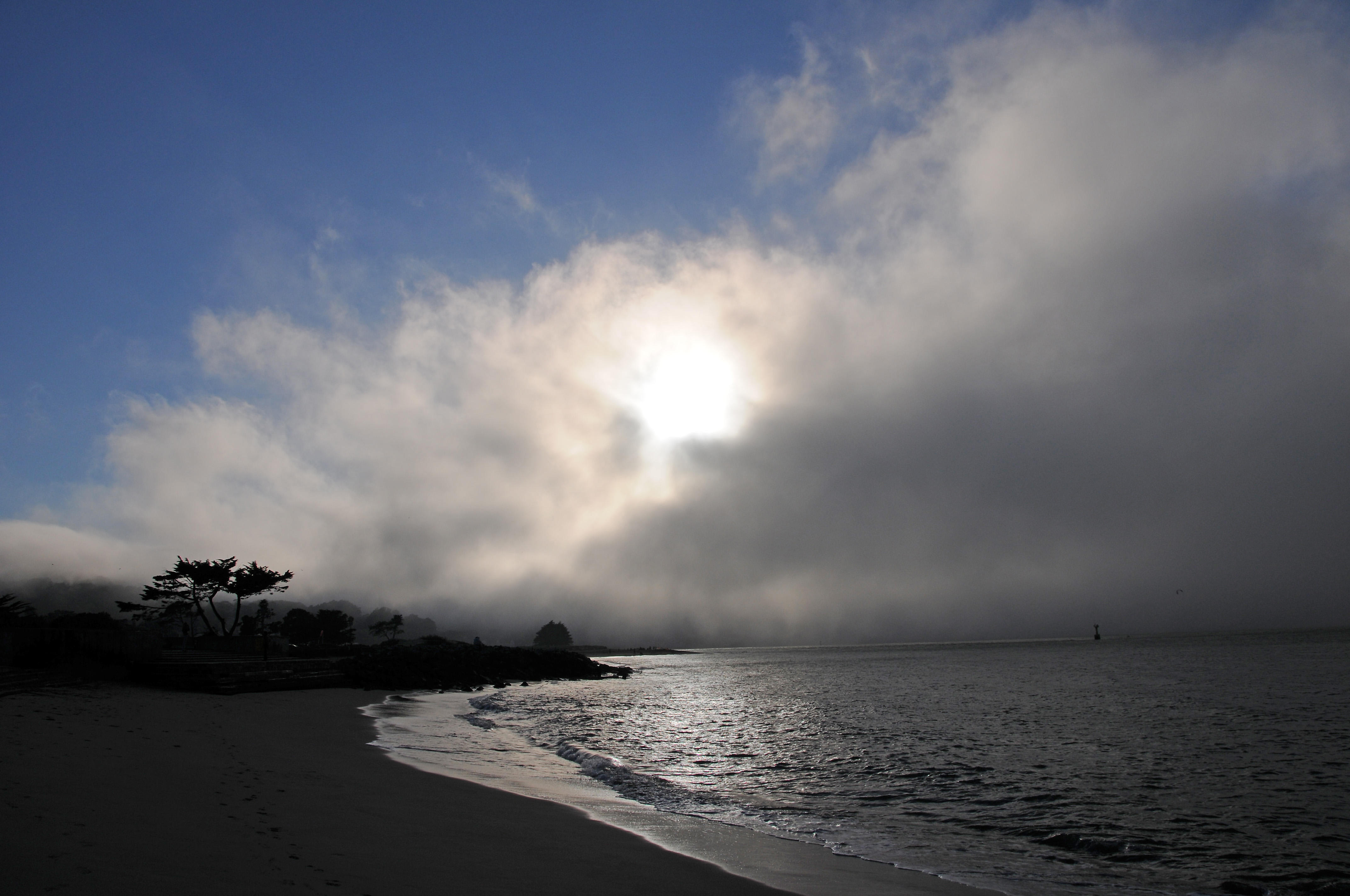 Presidio Crissy Field Recreational Area