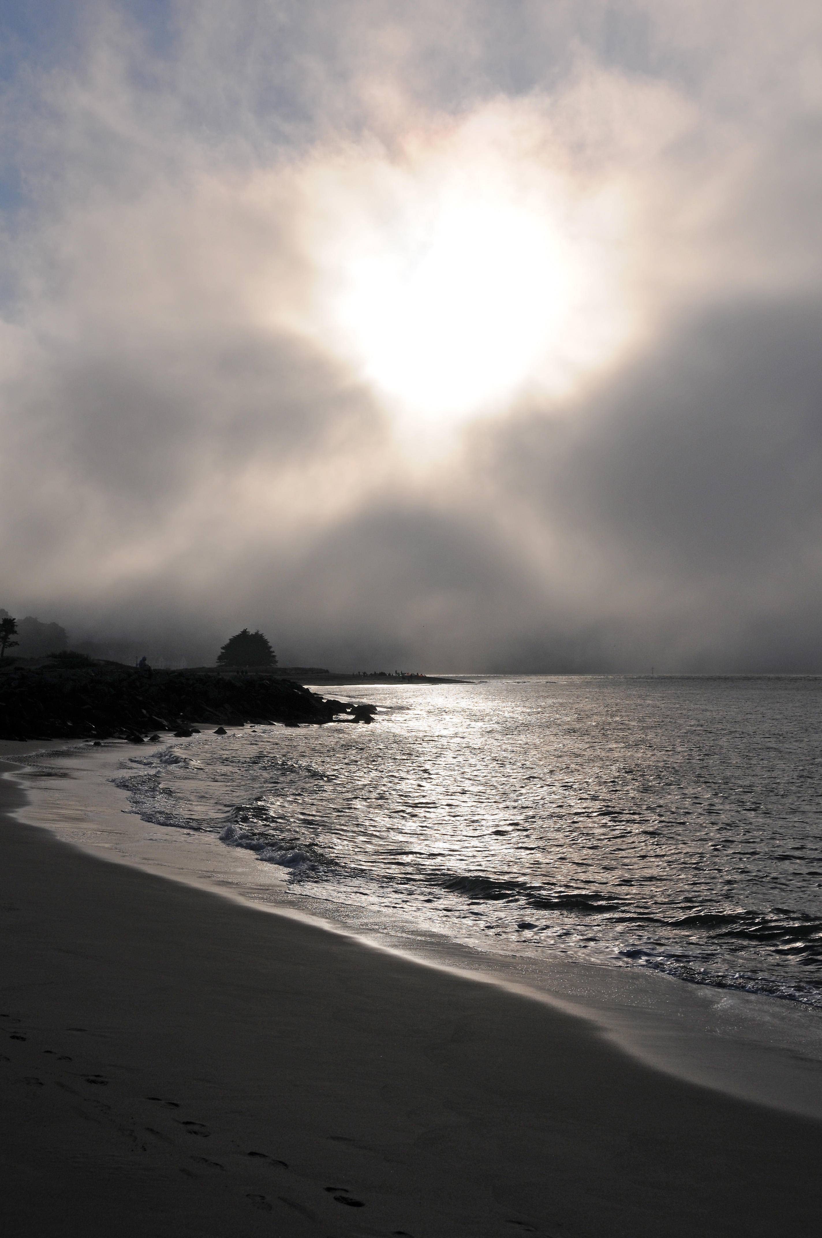 Presidio Crissy Field Recreational Area