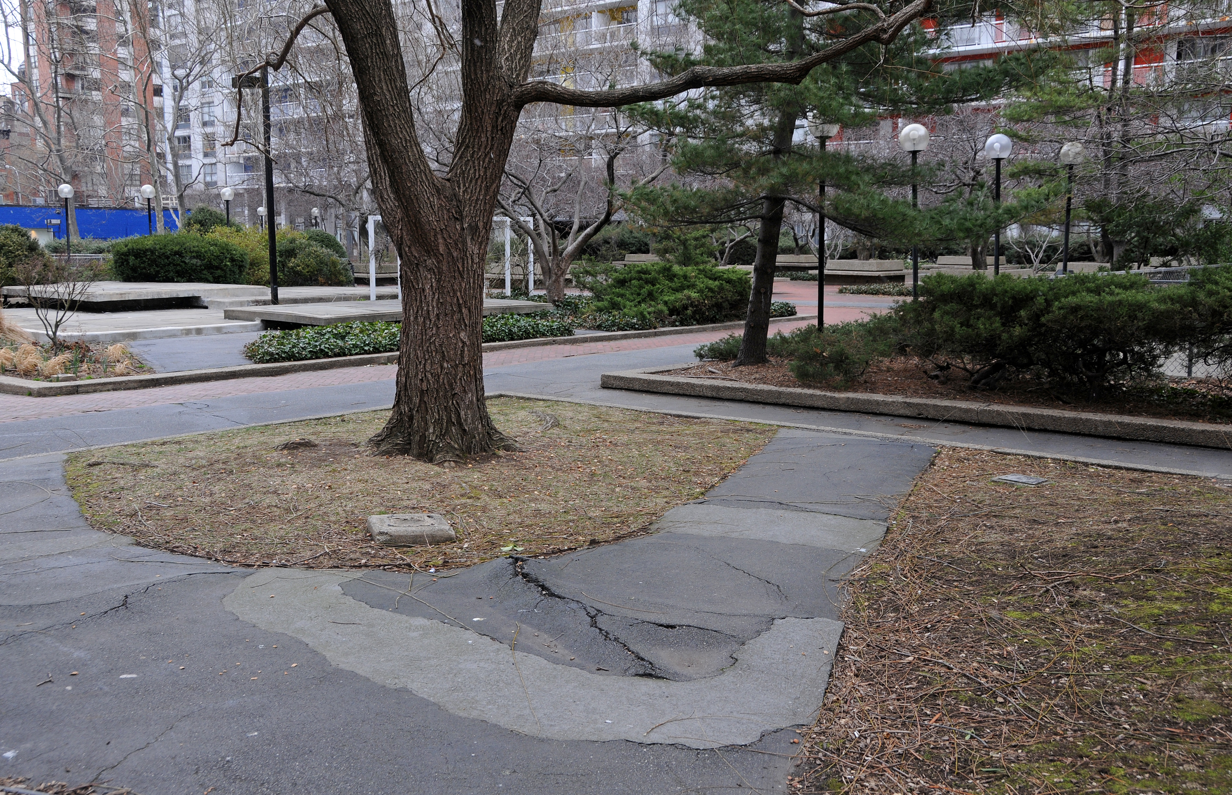 Walkway in Need of Repair or Re-Design