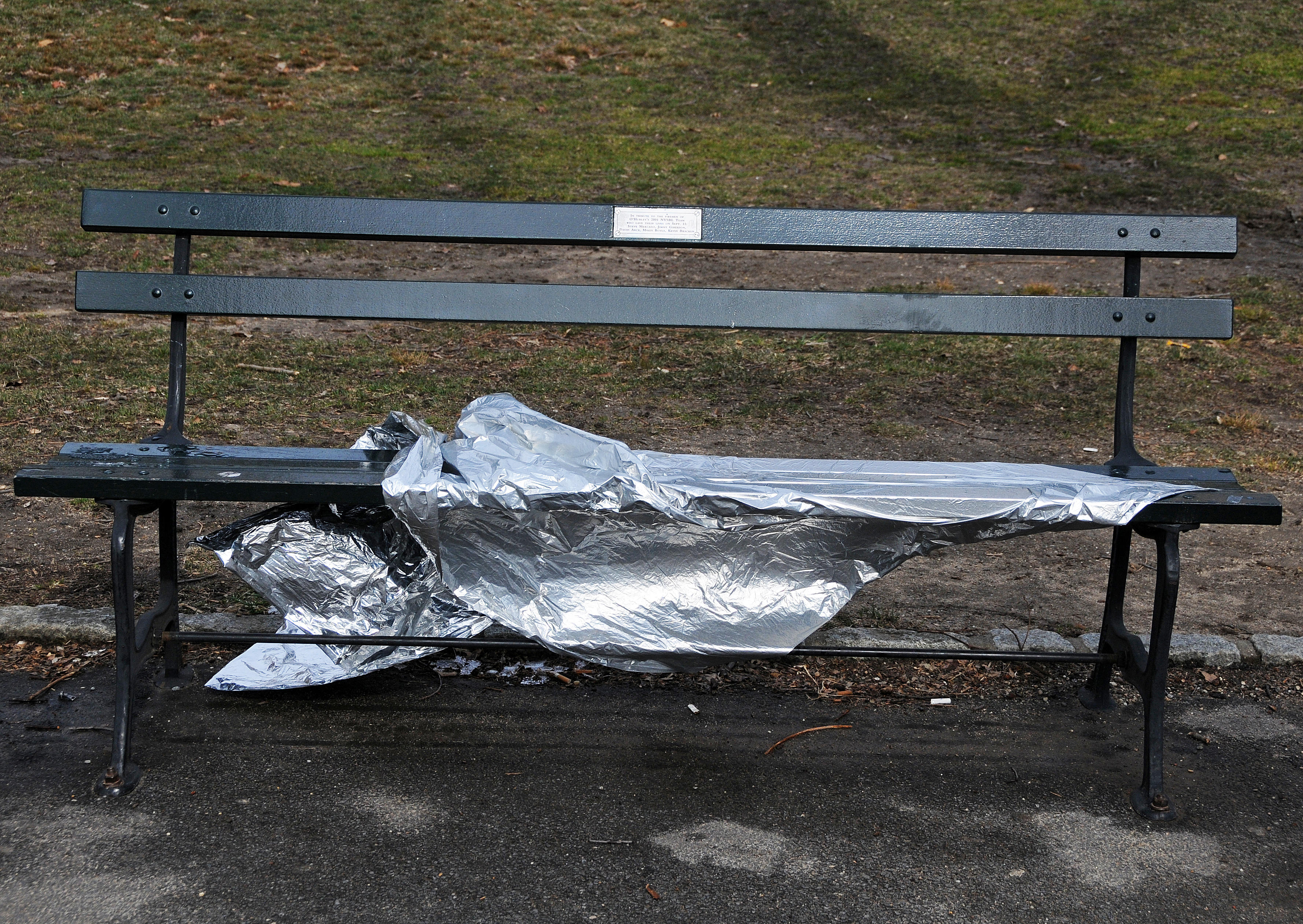 DSC_0923.JPG