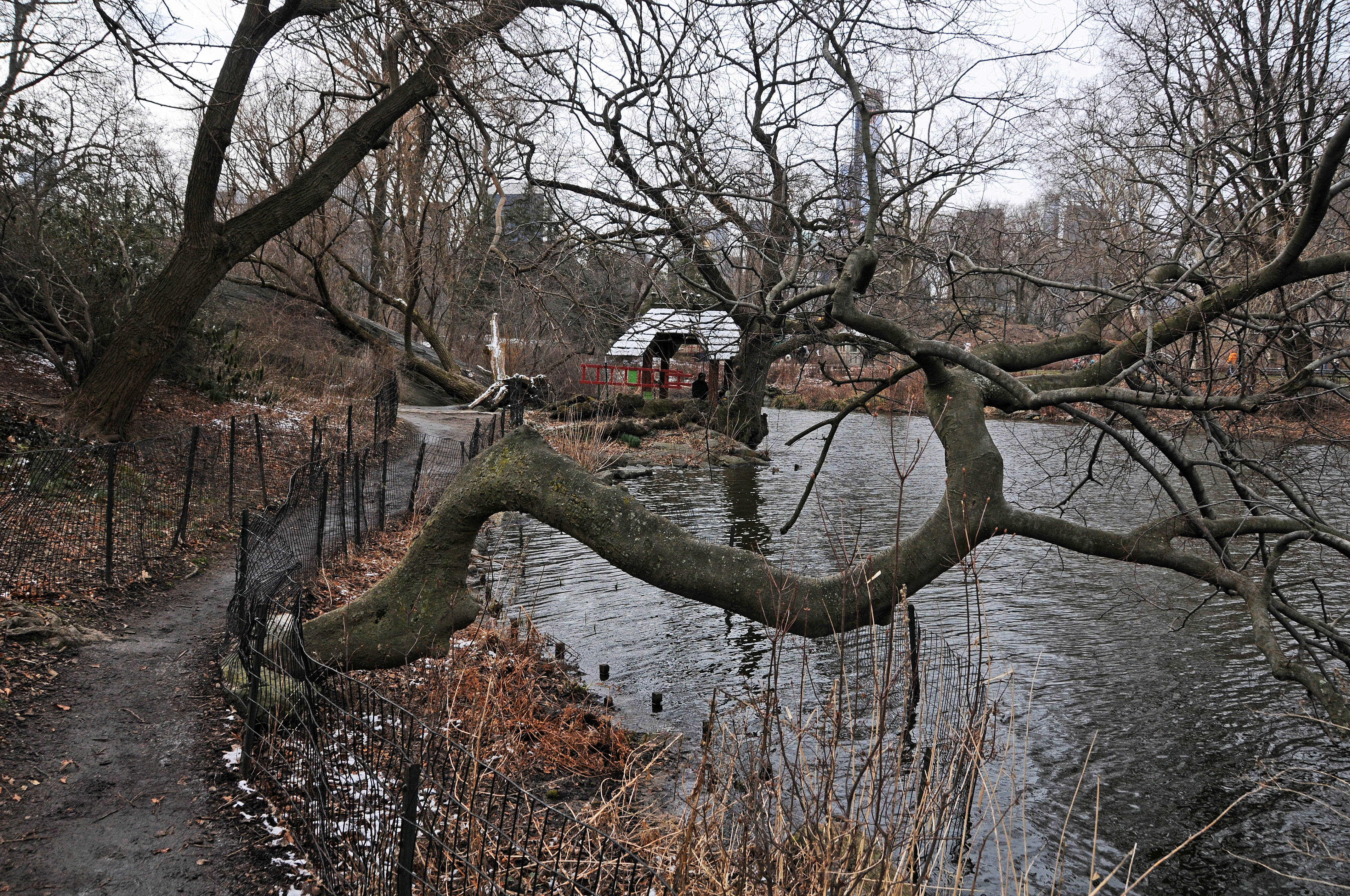 DSC_0951.JPG