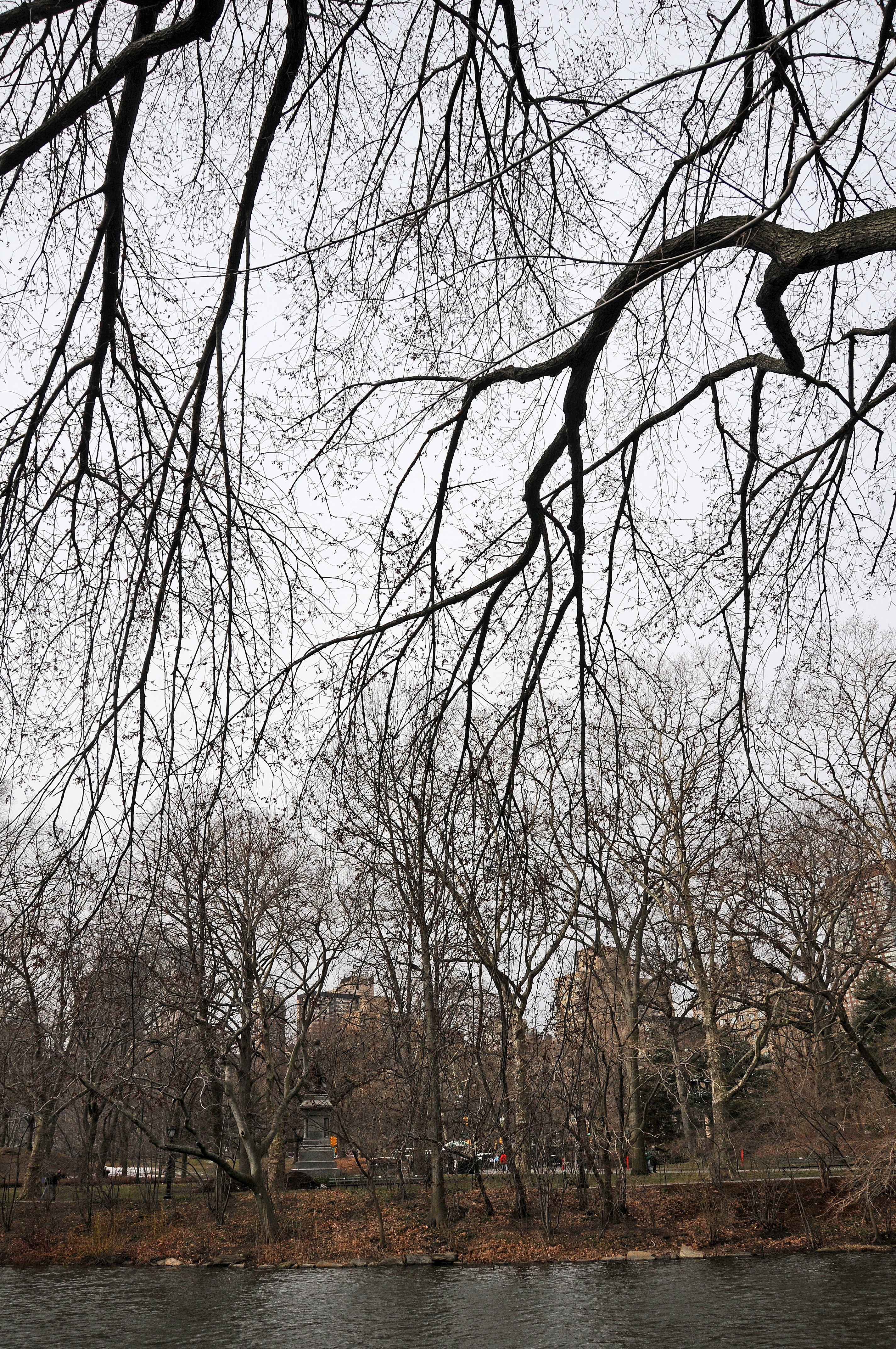 DSC_0952.JPG
