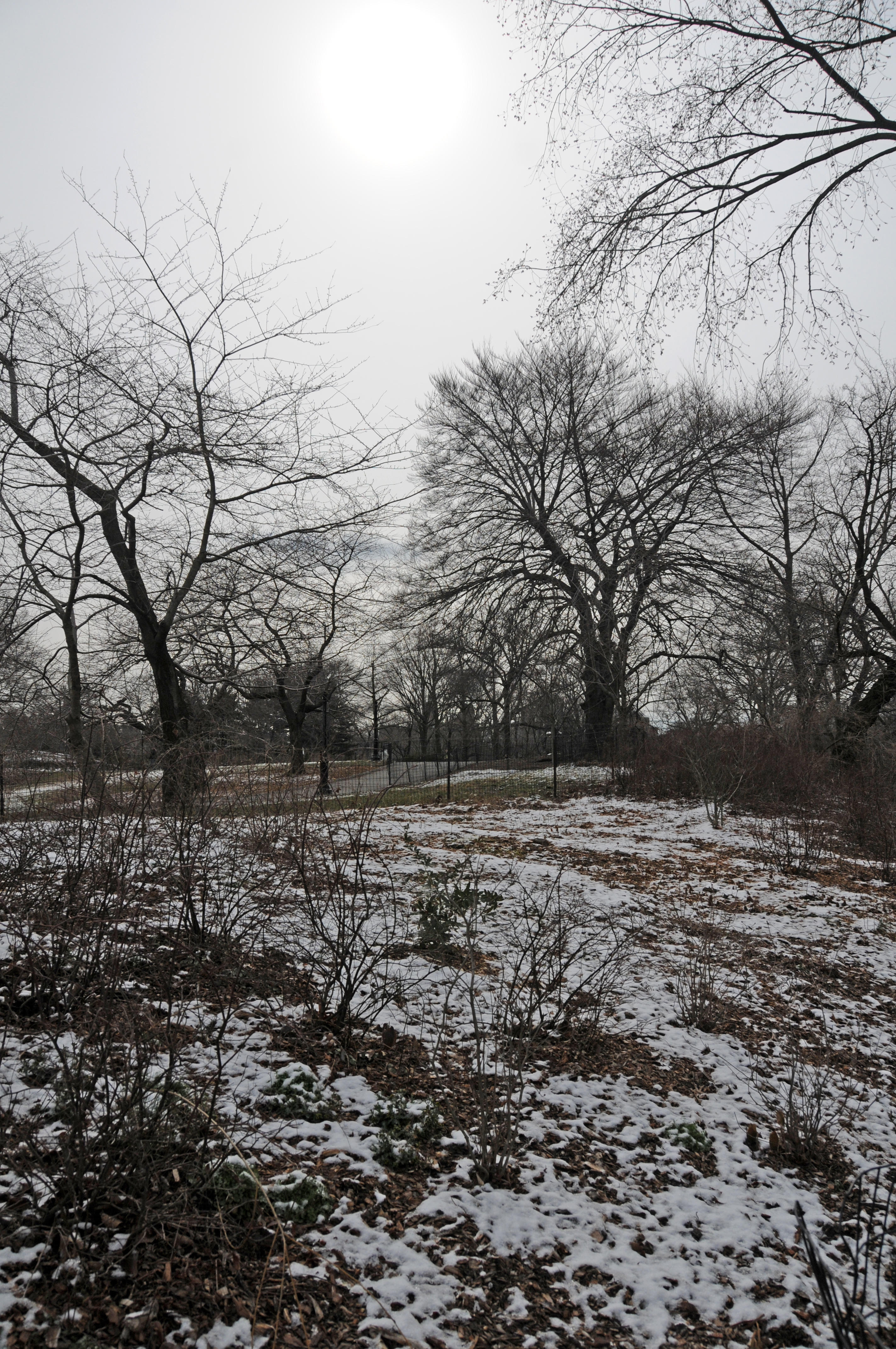 DSC_0953.JPG