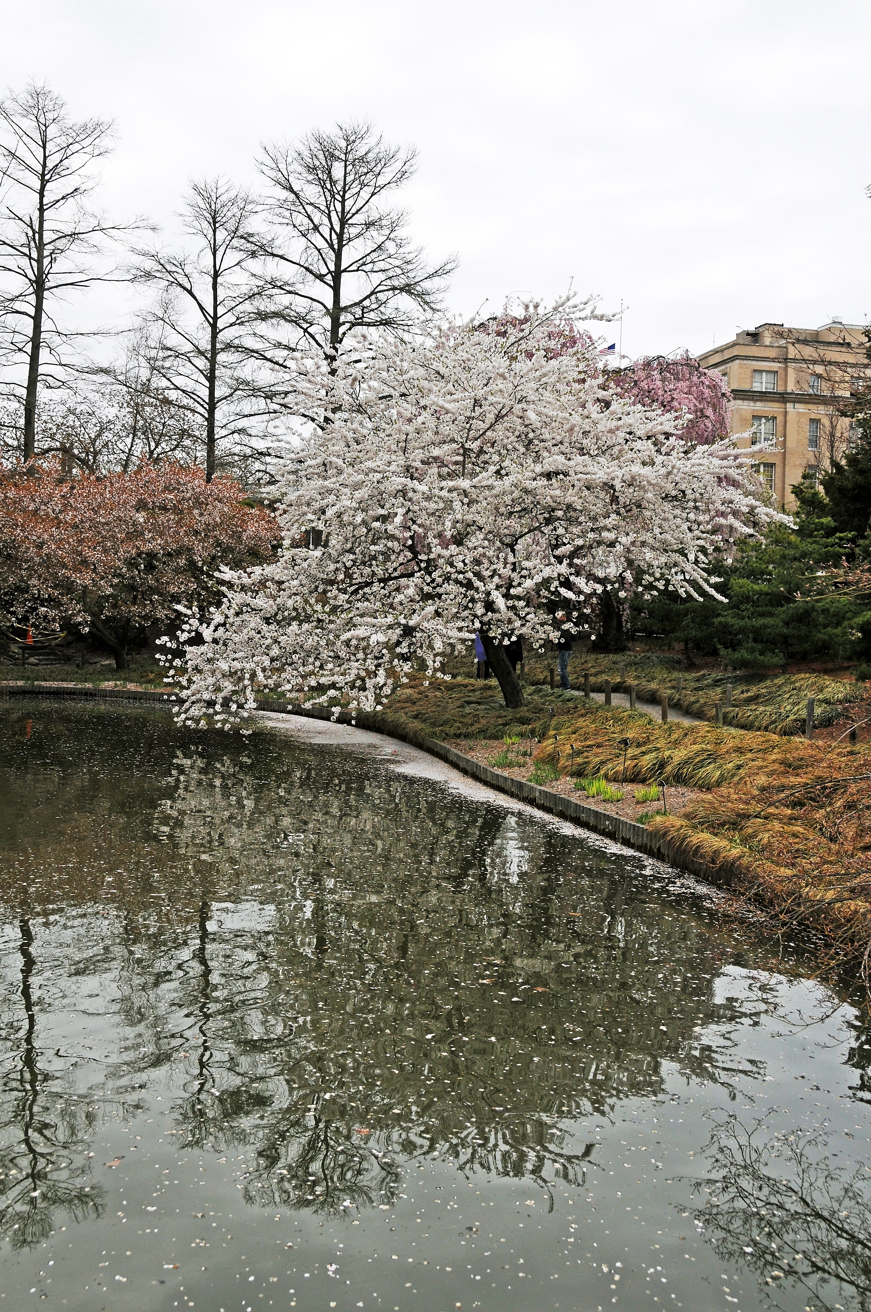 DSC_1806.JPG