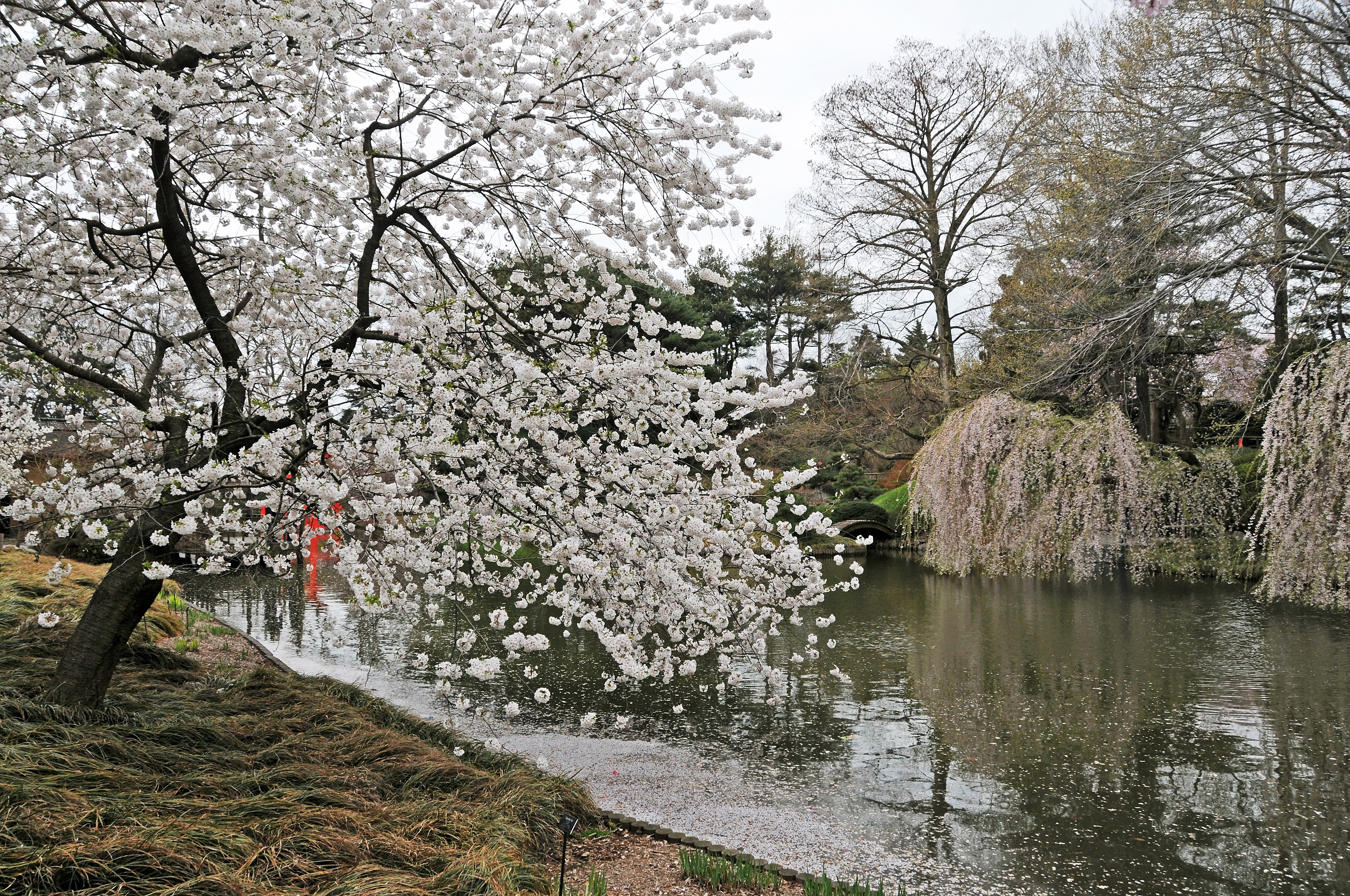 DSC_1816.JPG