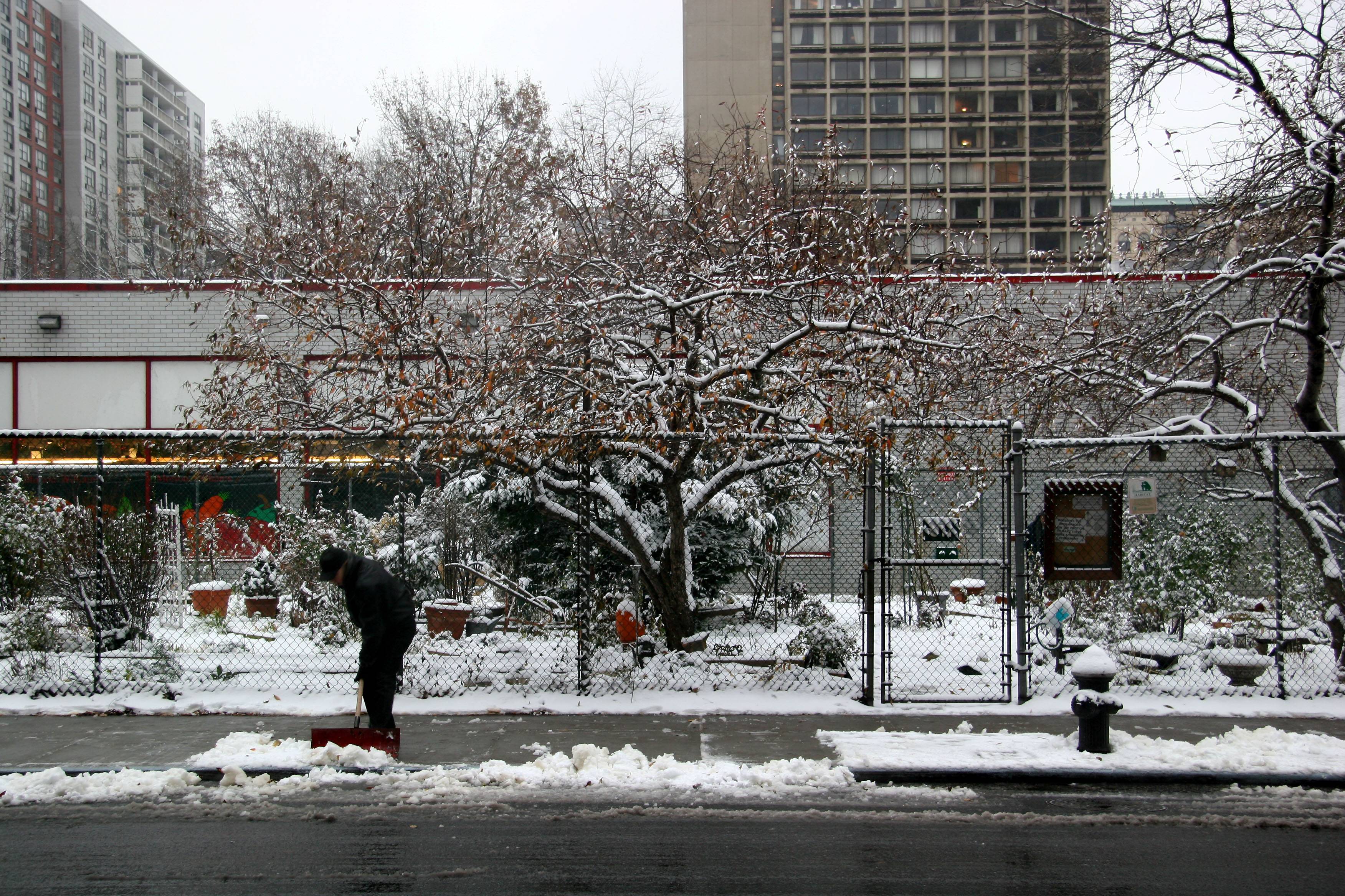 East View of the Garden