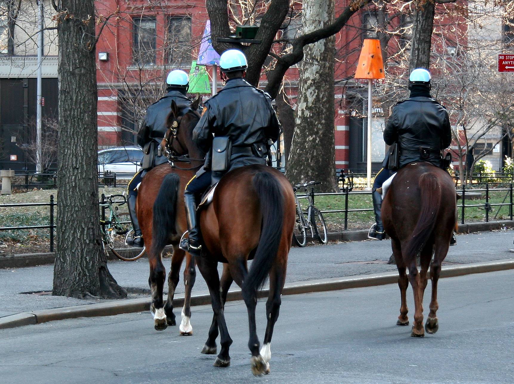 NYPD Calvary