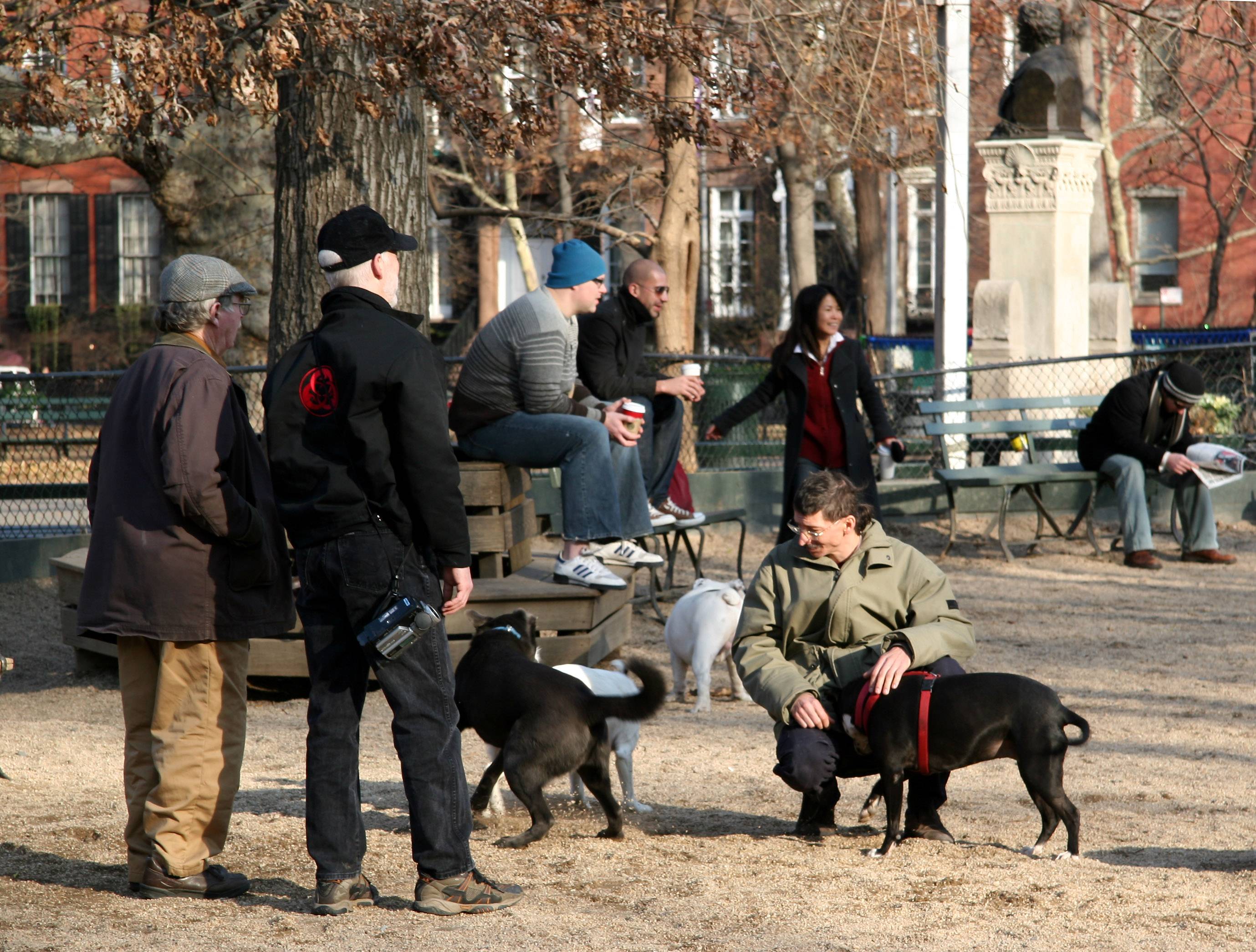 Dog Run