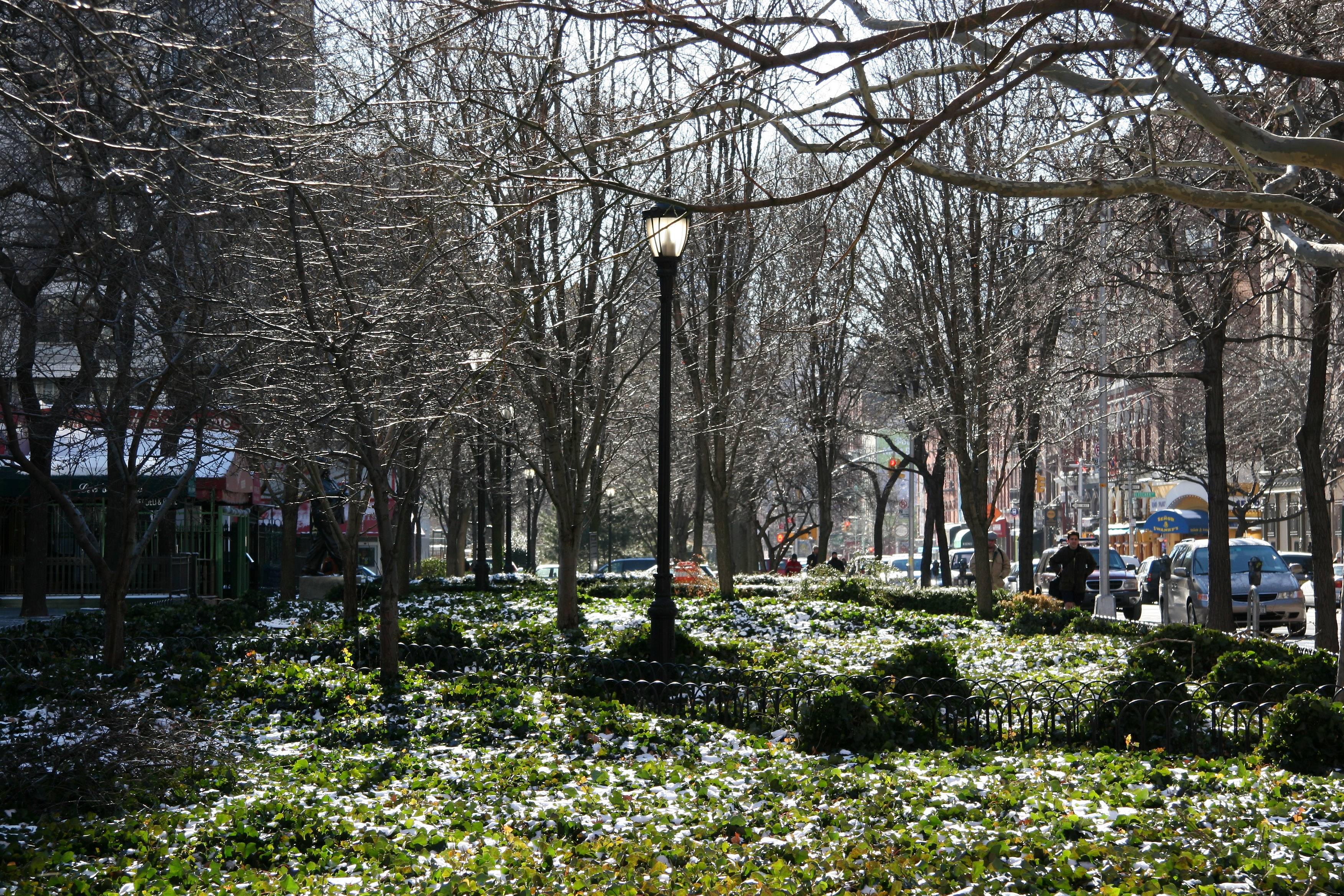 LaGuardia Place Garden