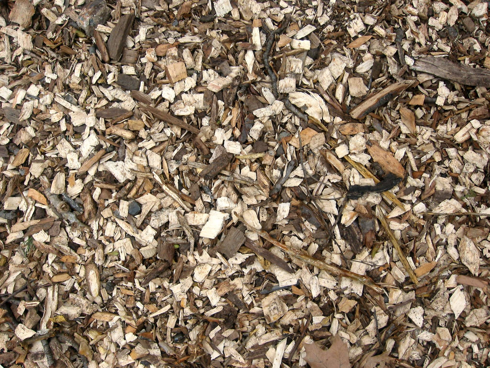 Wood Chips