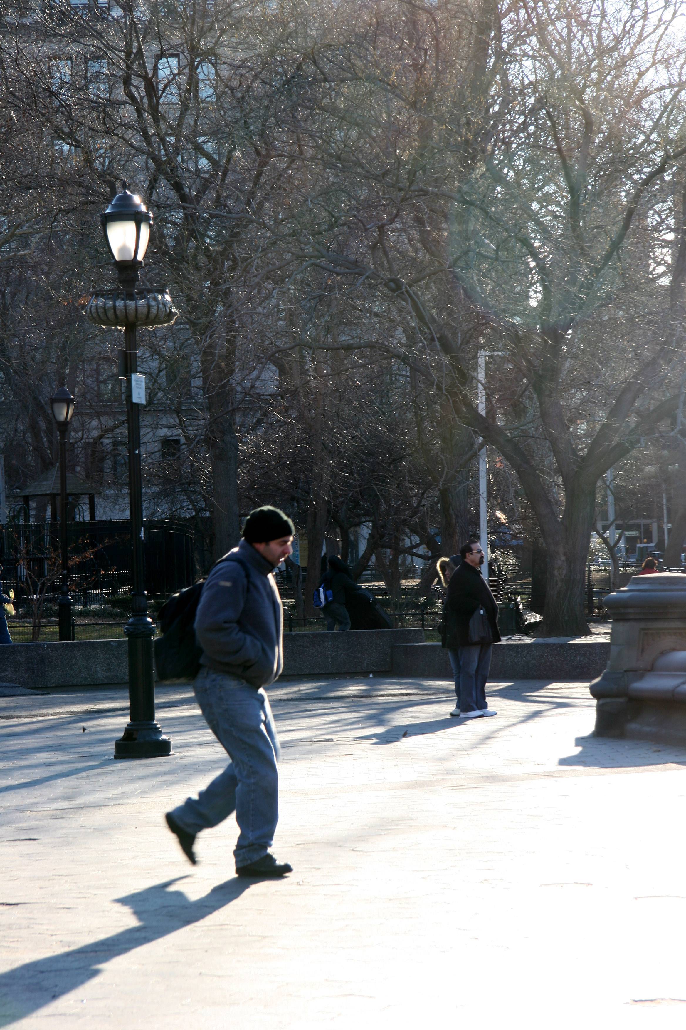 Early Morning in the Park