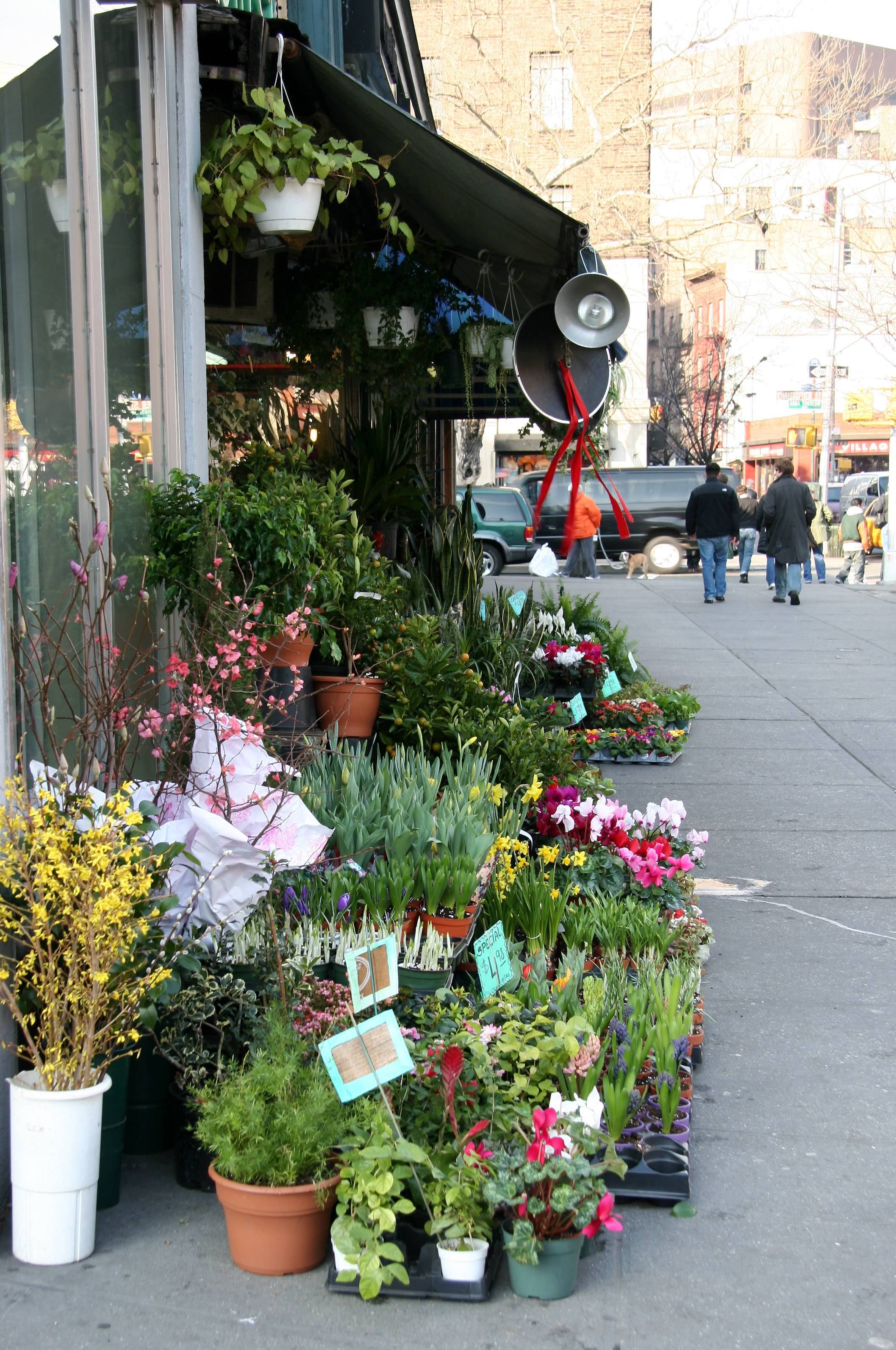 Florist - Spring Flowers