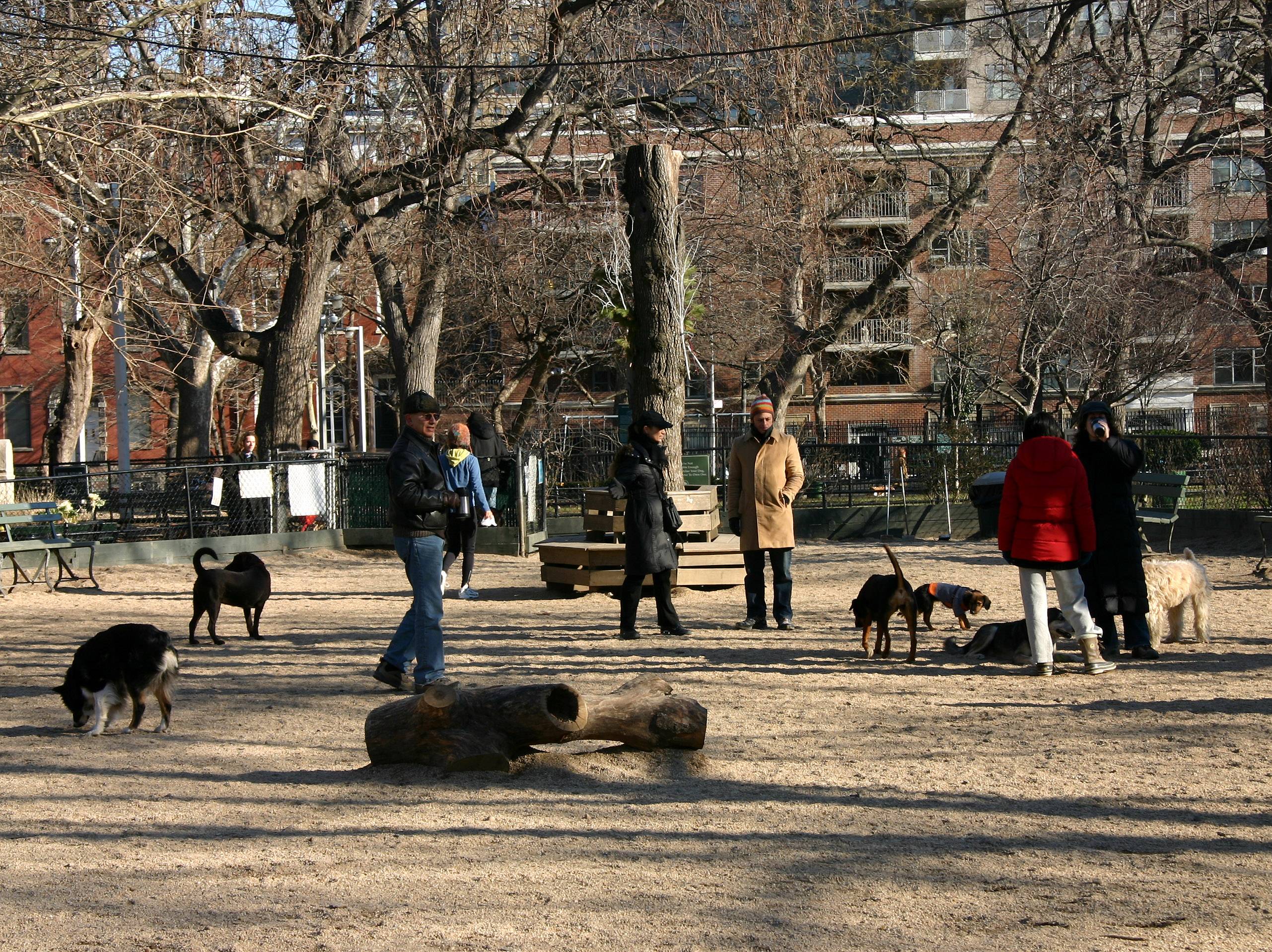 Georges Dog Run