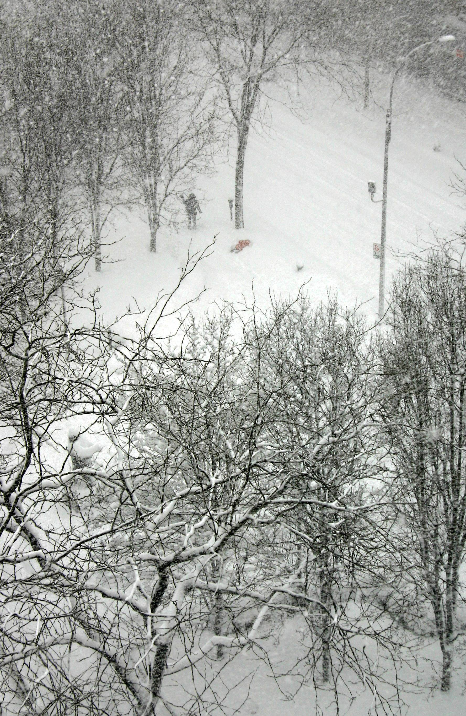 Blizzard of 06
