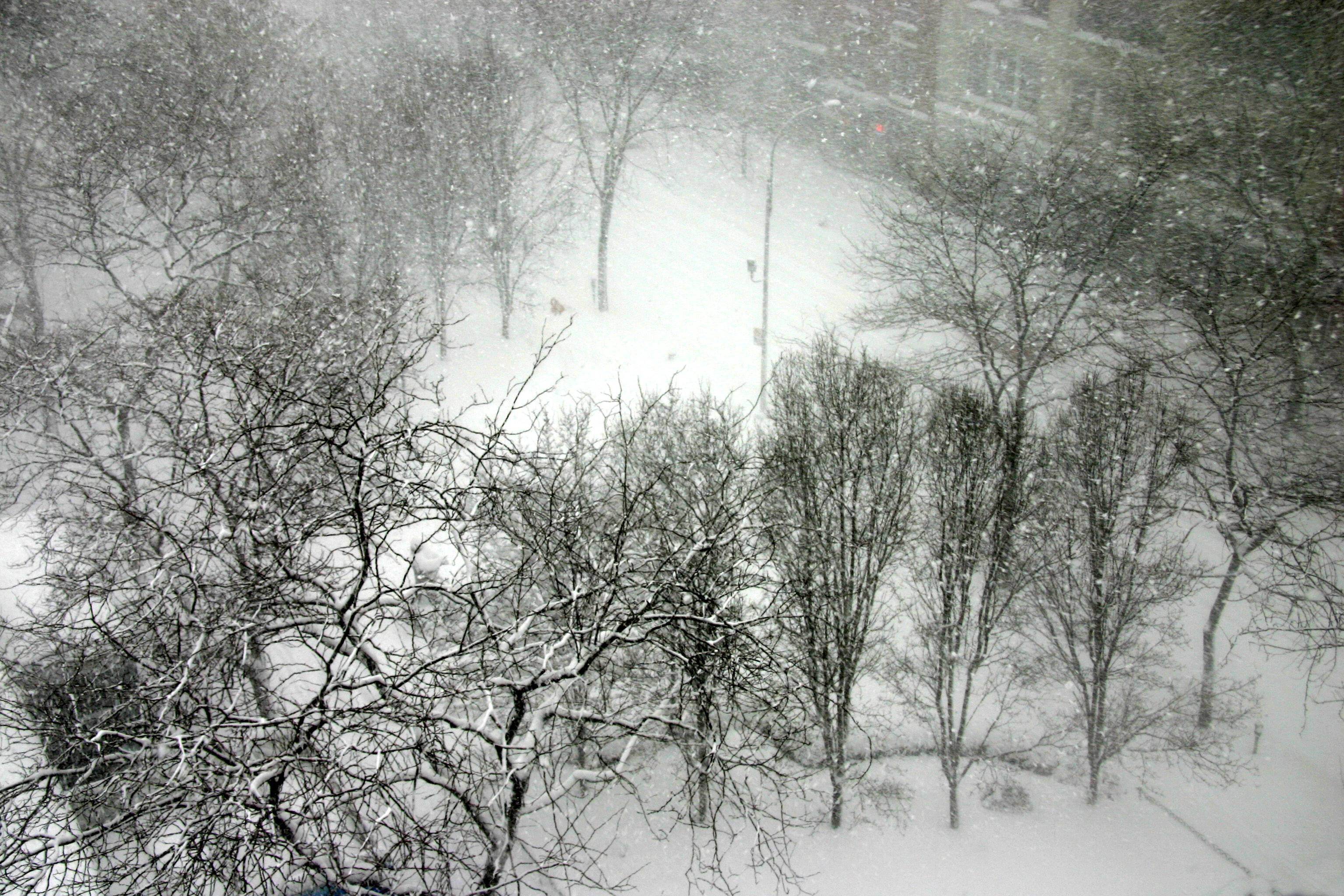 Blizzard of 06