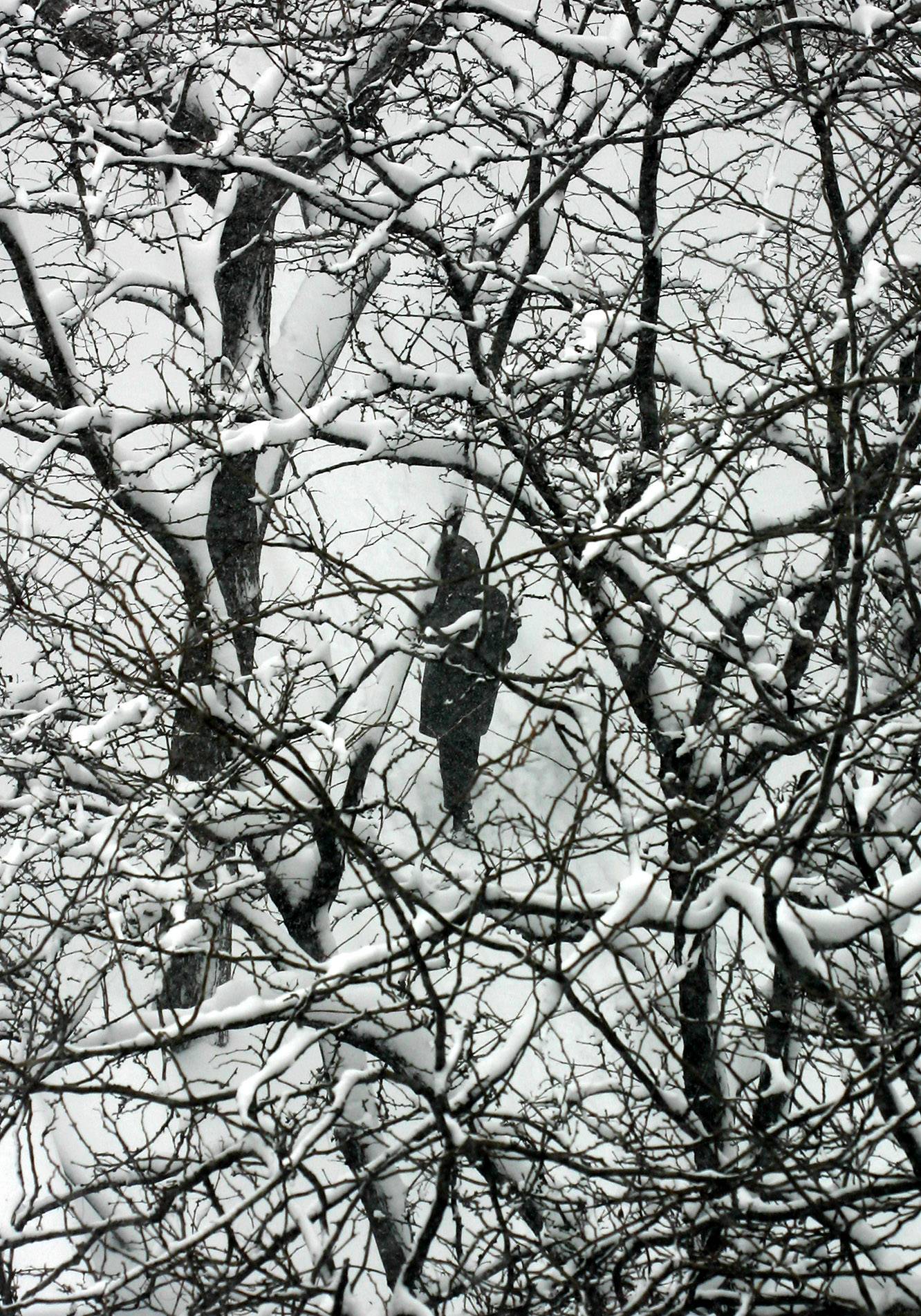 Blizzard of 06