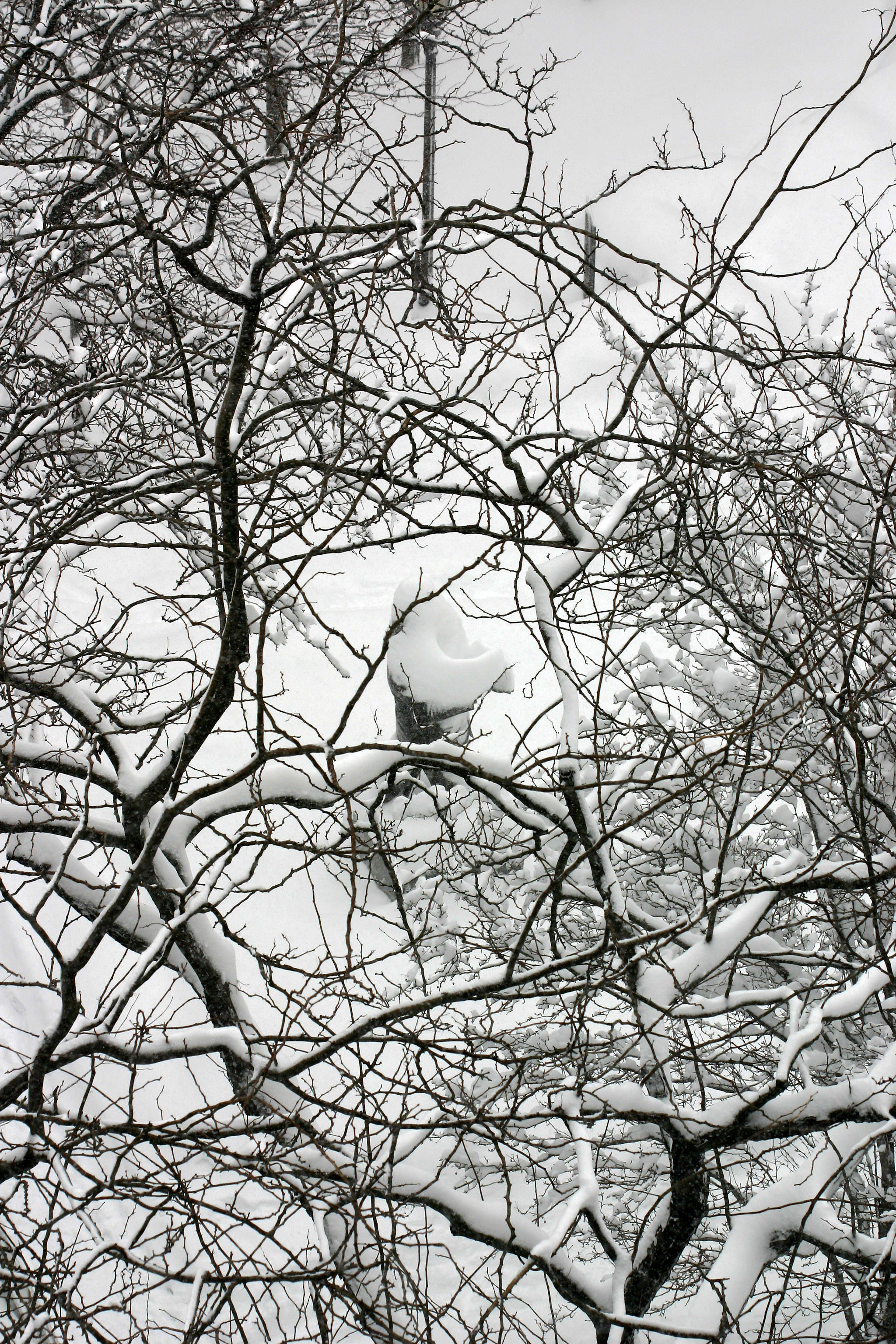 Blizzard of 06