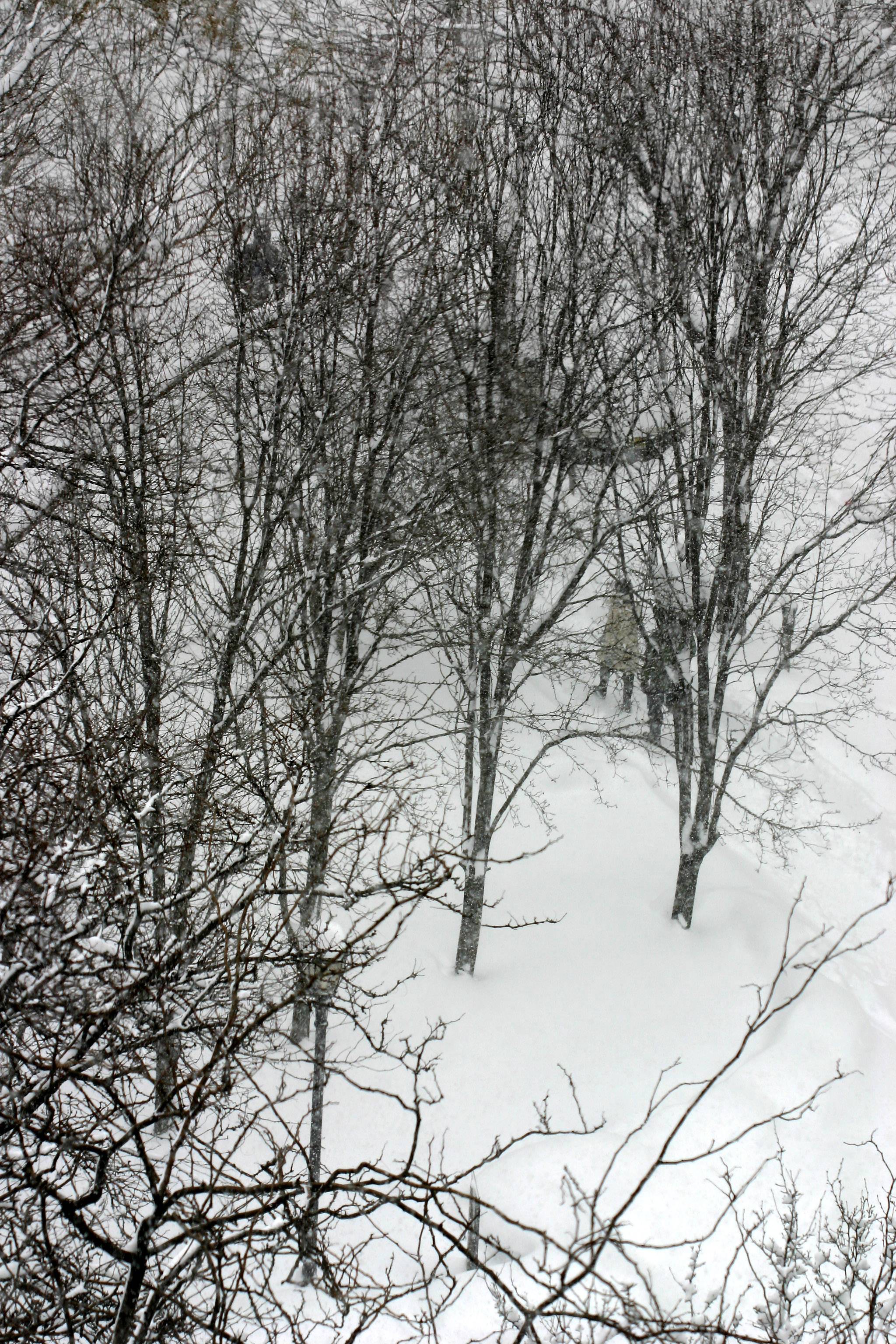 Blizzard of 06