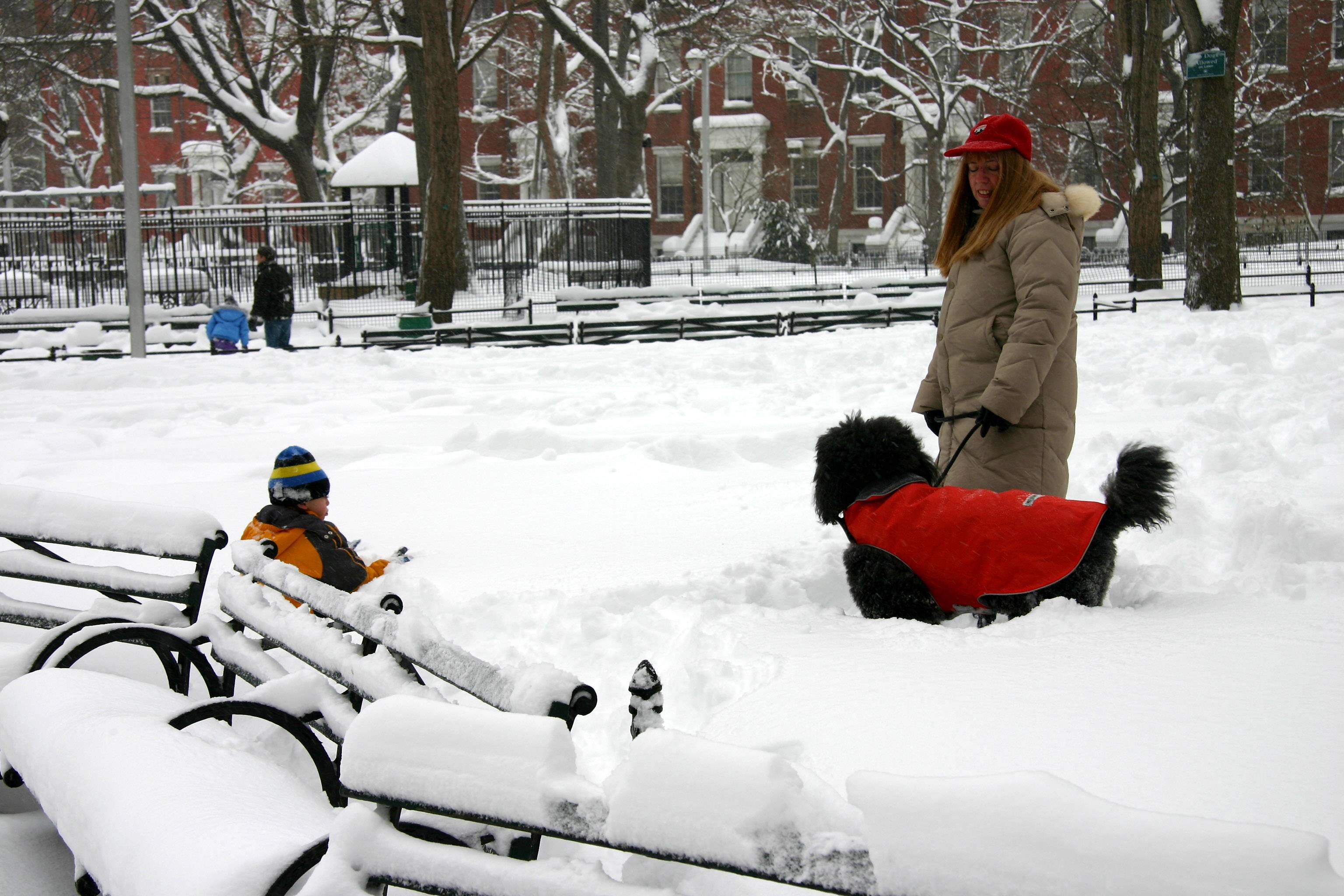 Play in the Snow - Northeast View