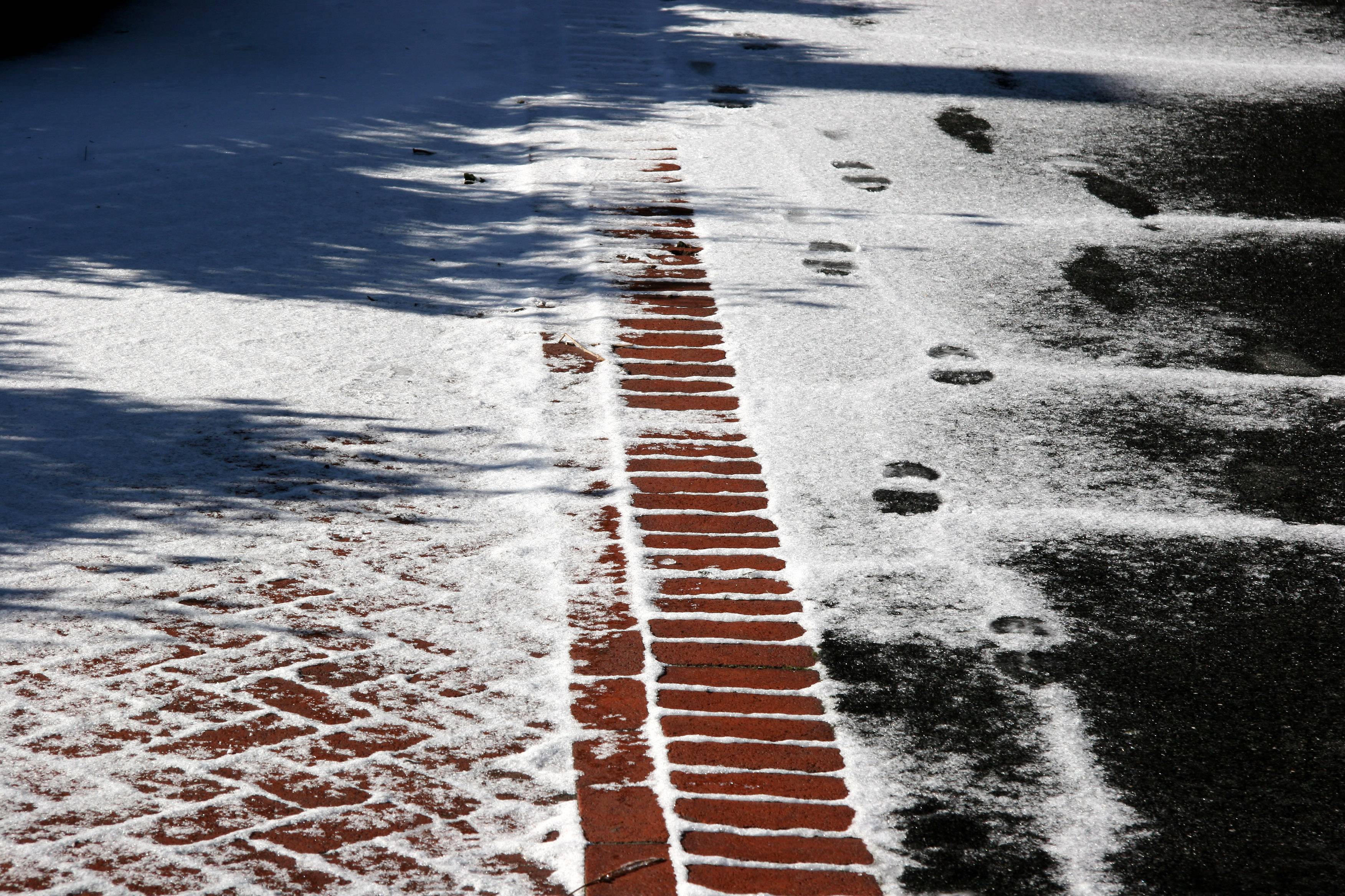 Garden Path
