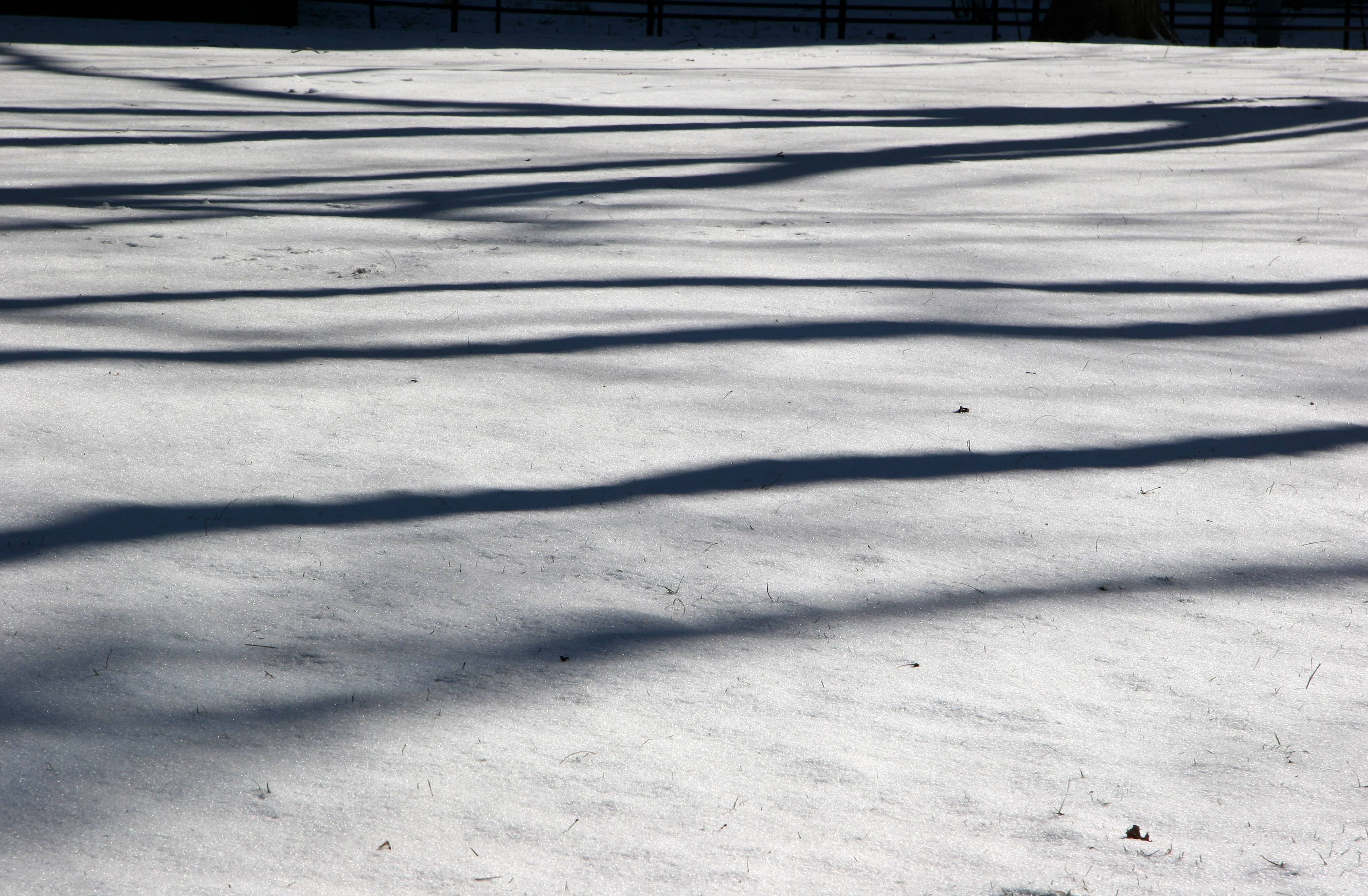 Snow over the Grass