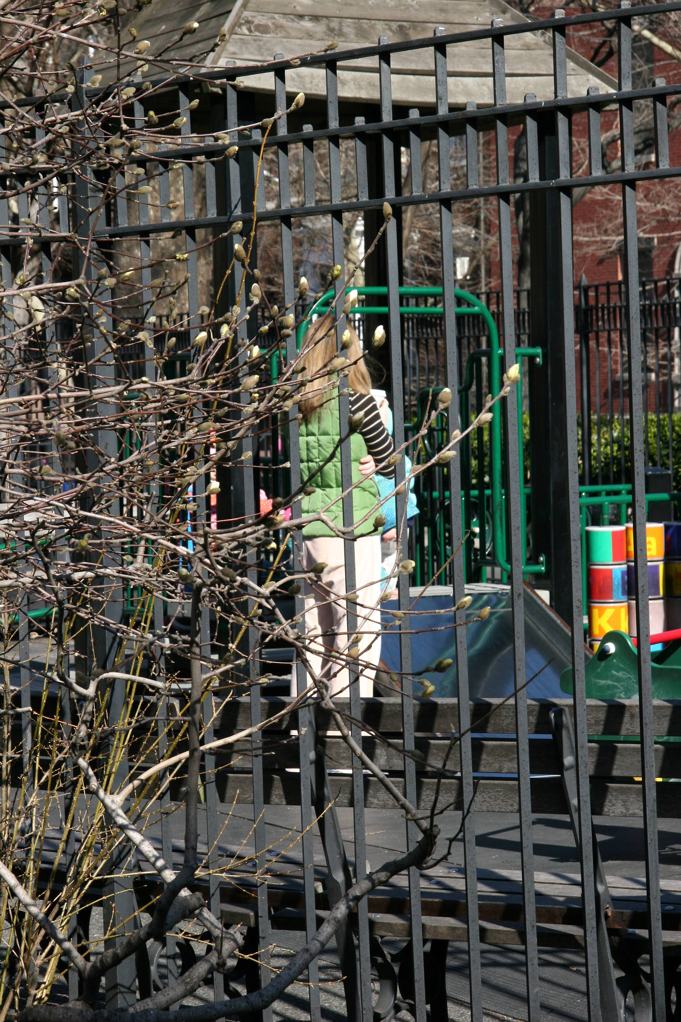 Toddlers Playground & Budding Magnolia Bush