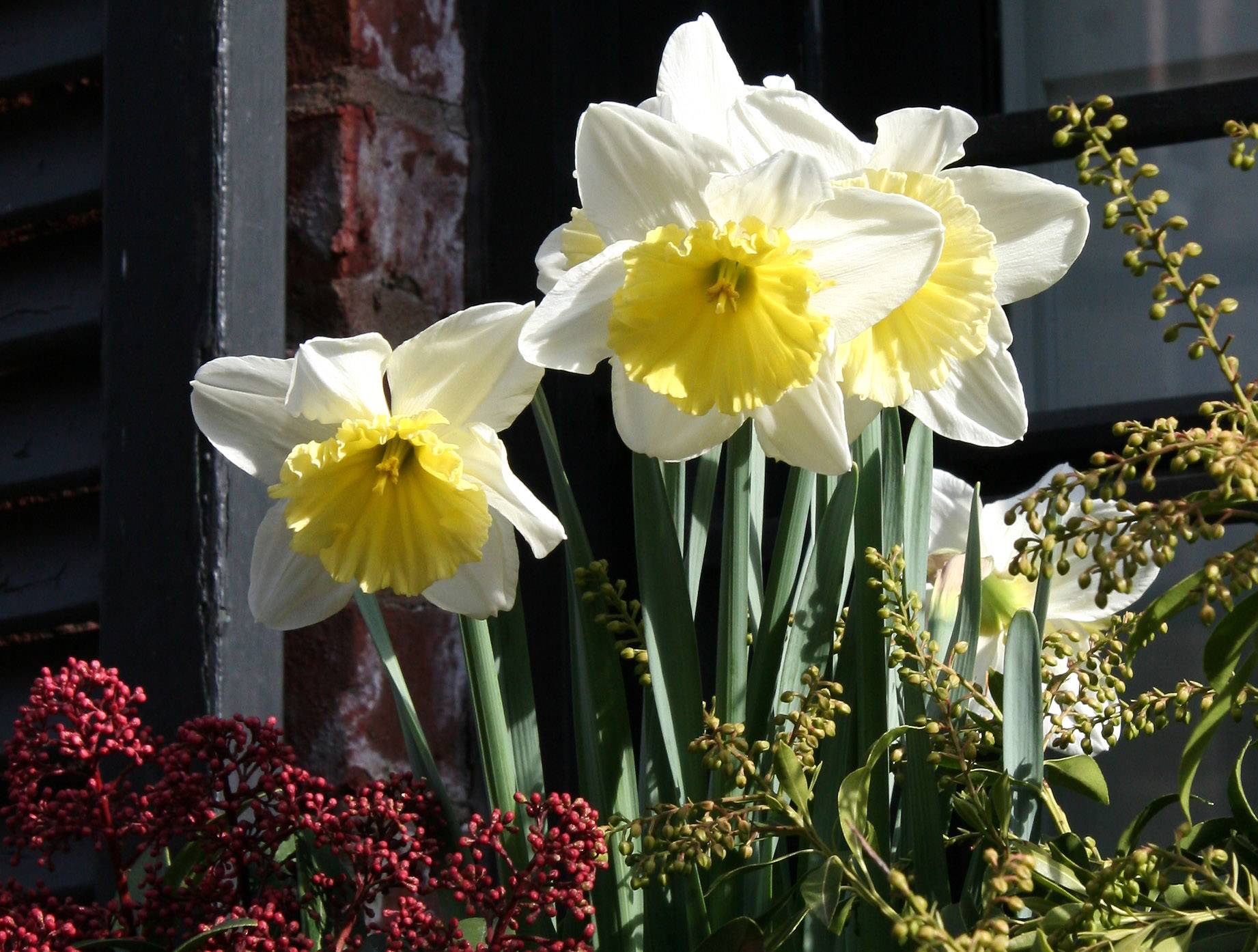 Flower Box Arrangement