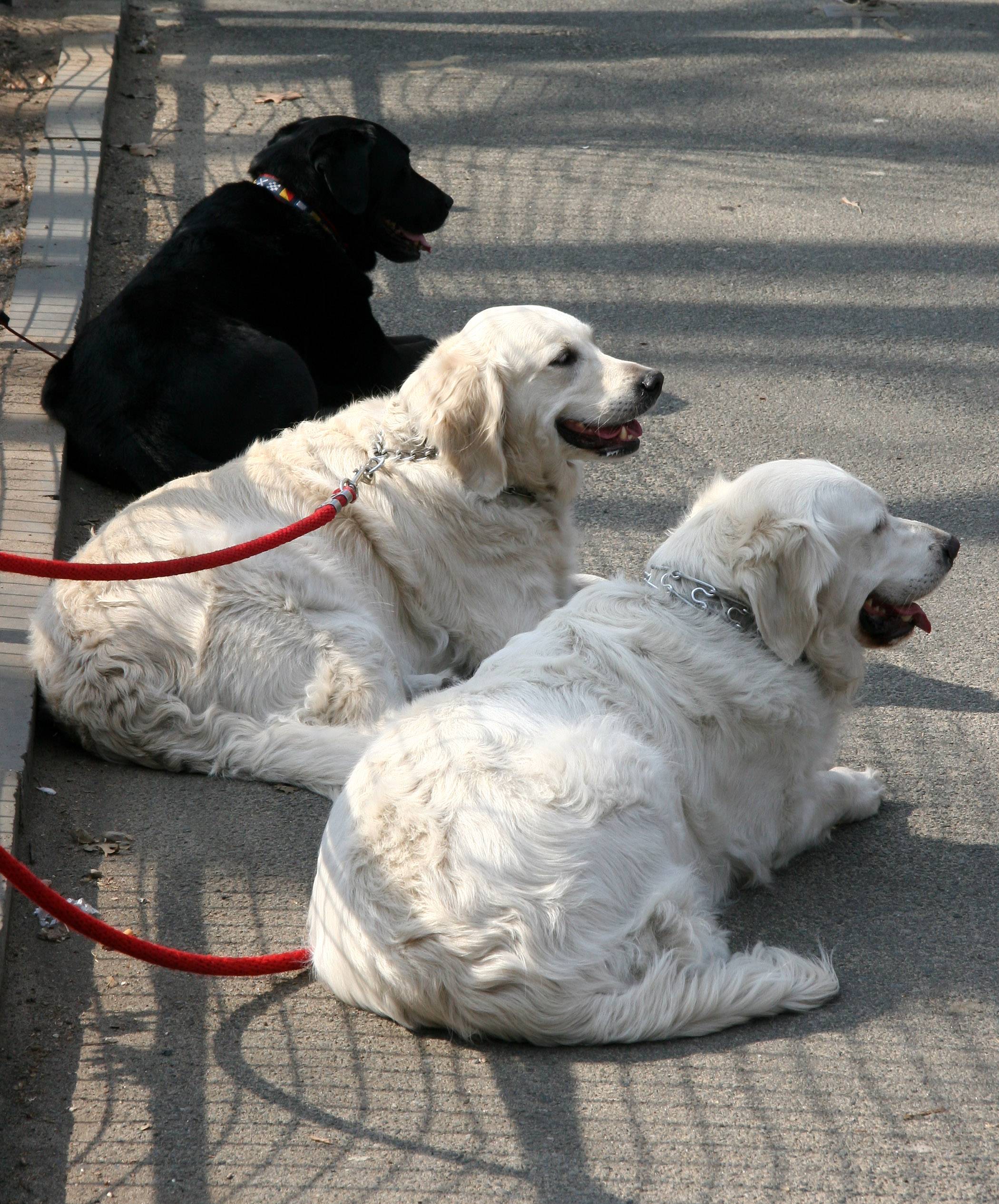 Waiting at the Childrens Playground