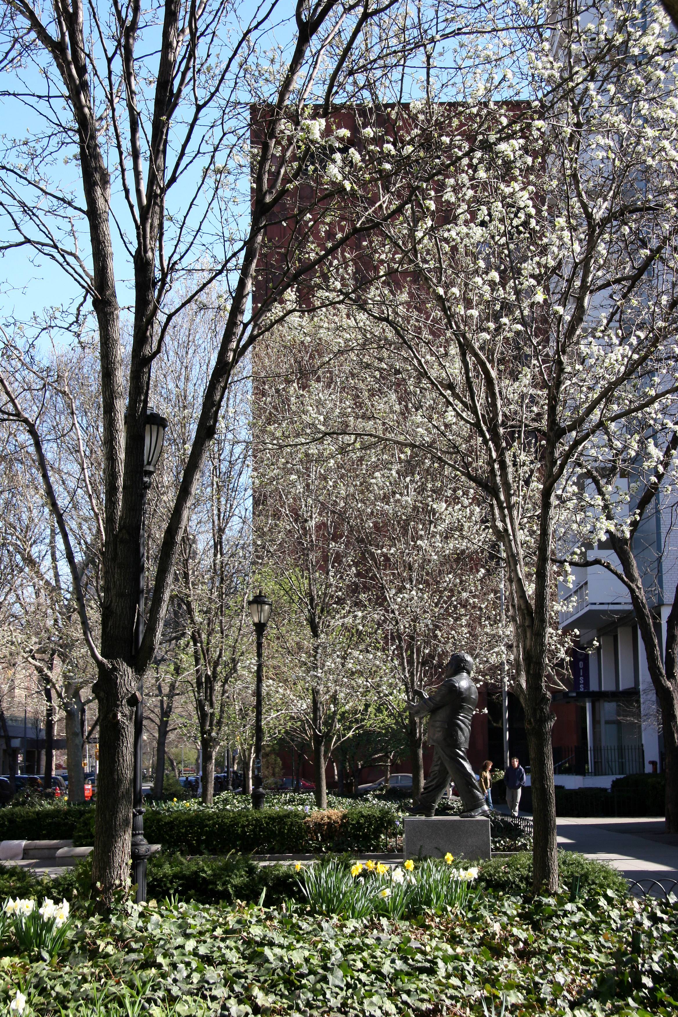 Garden View - Pear Trees