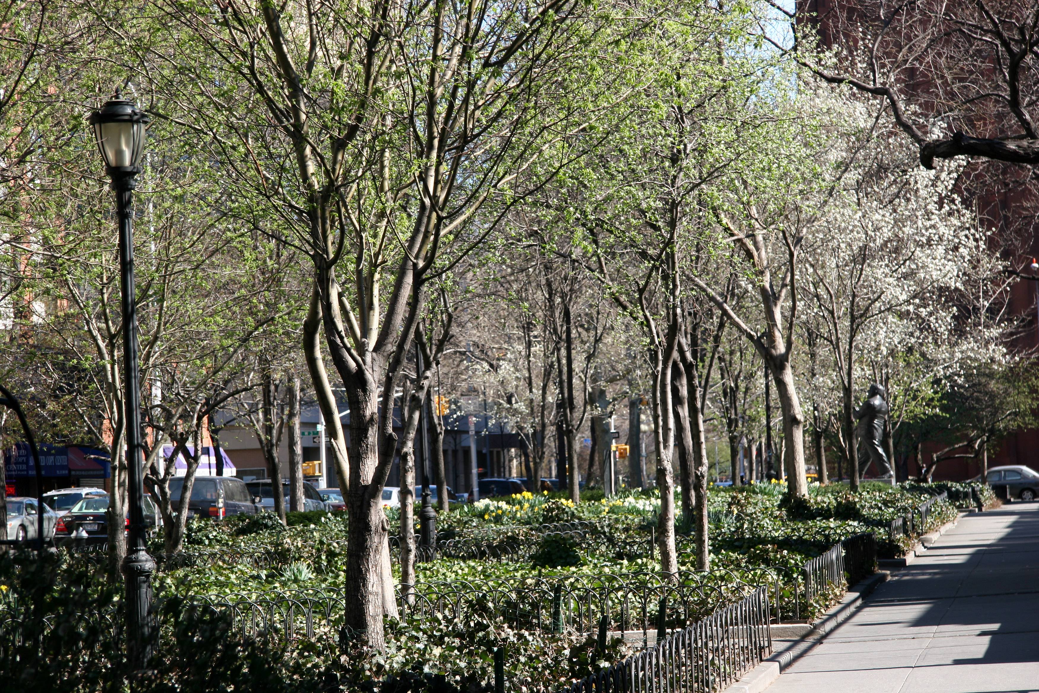 Garden View - Pear Trees