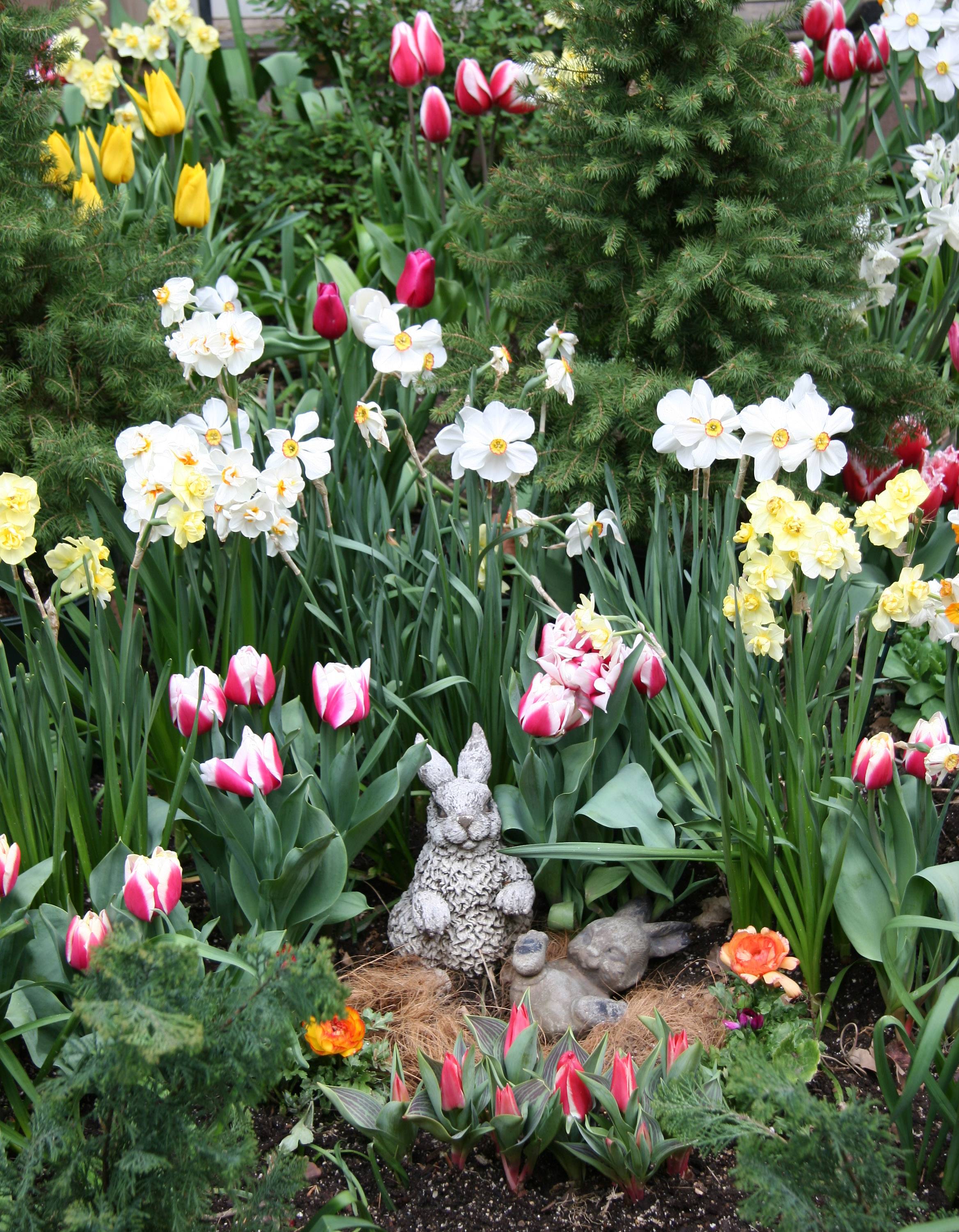 Peter Rabbit & Baby Rabbit in a Spring Flower Garden