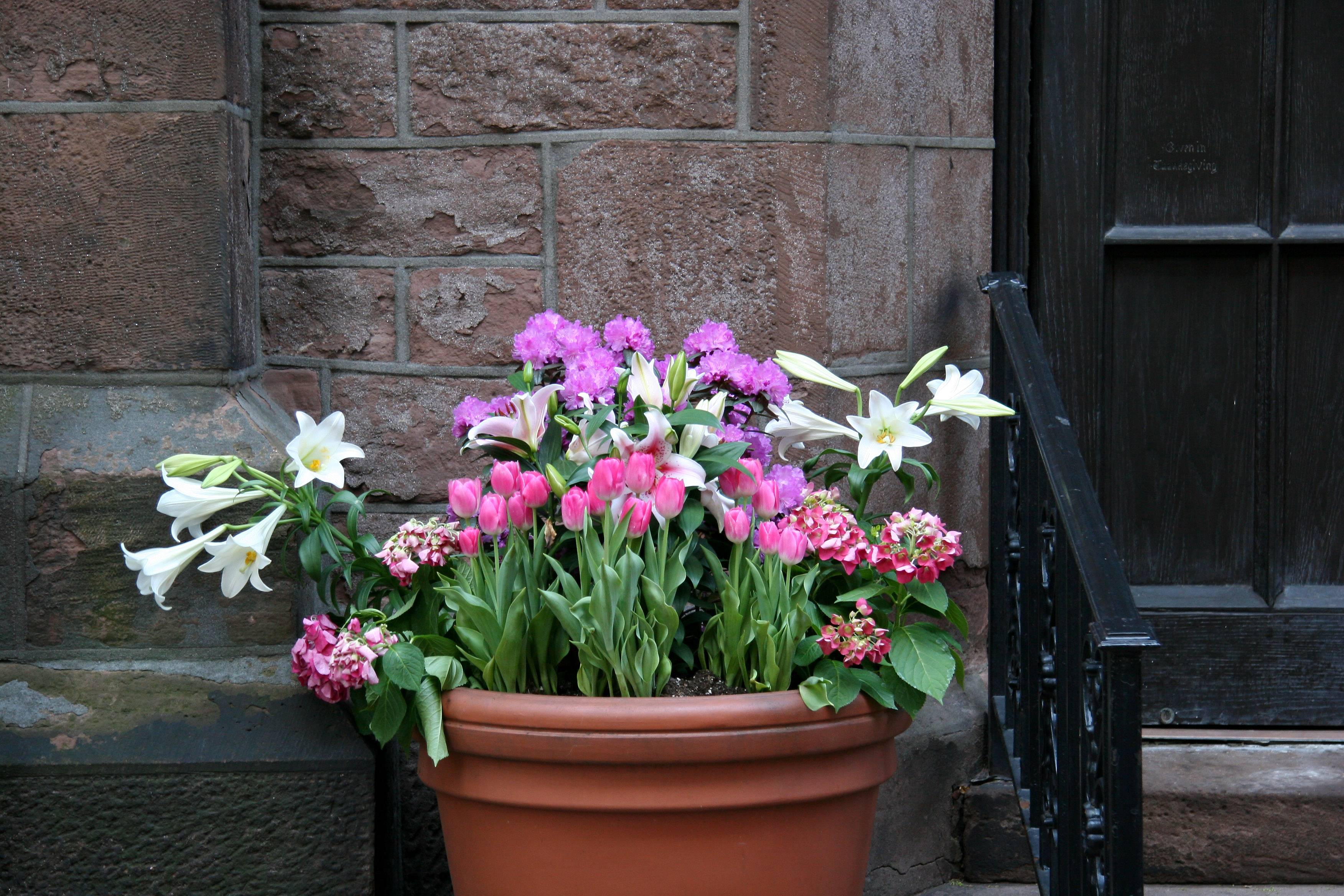 Entrance Floral Arrangement - Church of the Ascension