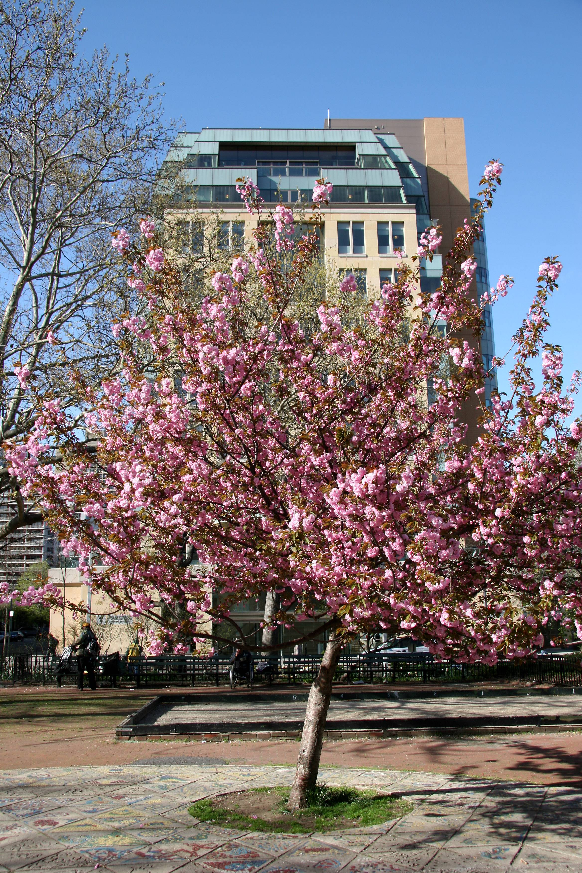 NYU Student Center