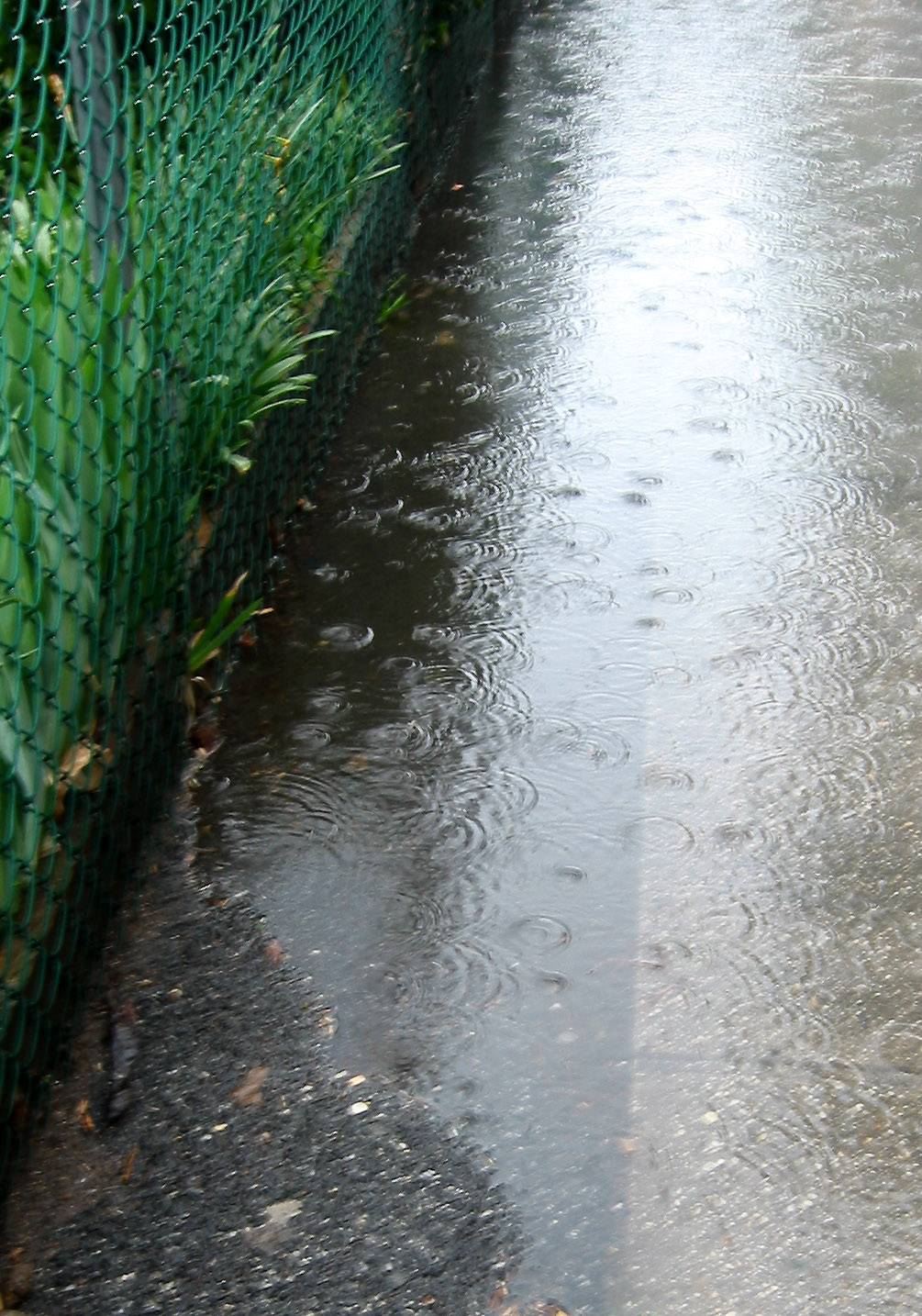 Rain Puddles