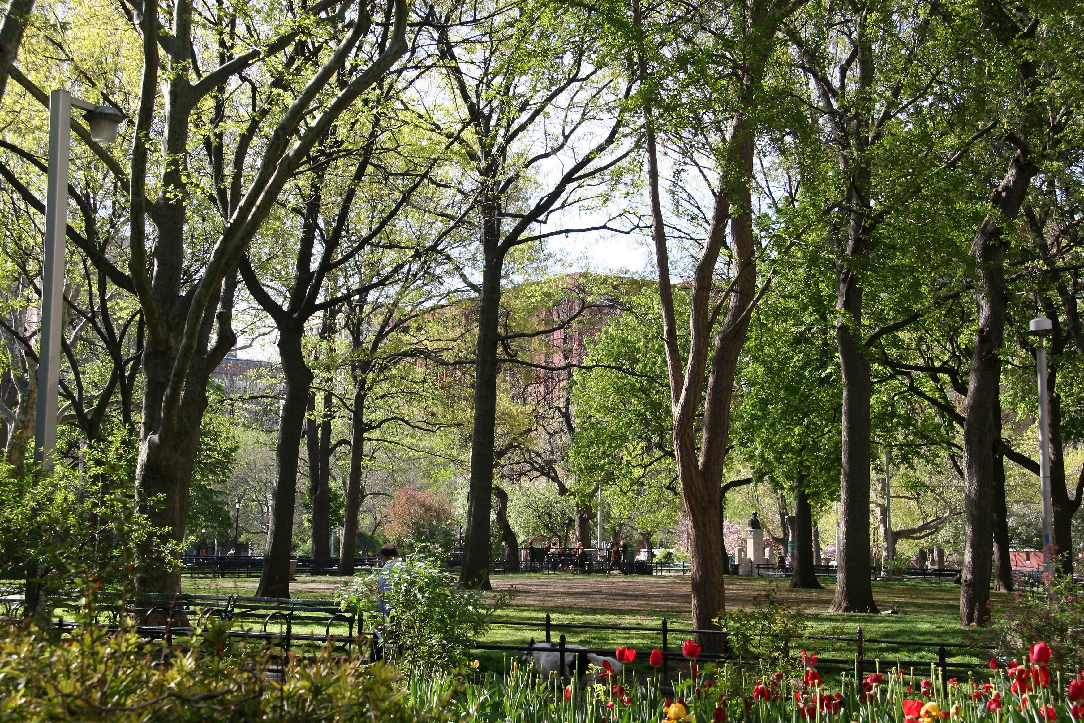Park View & NYU Library