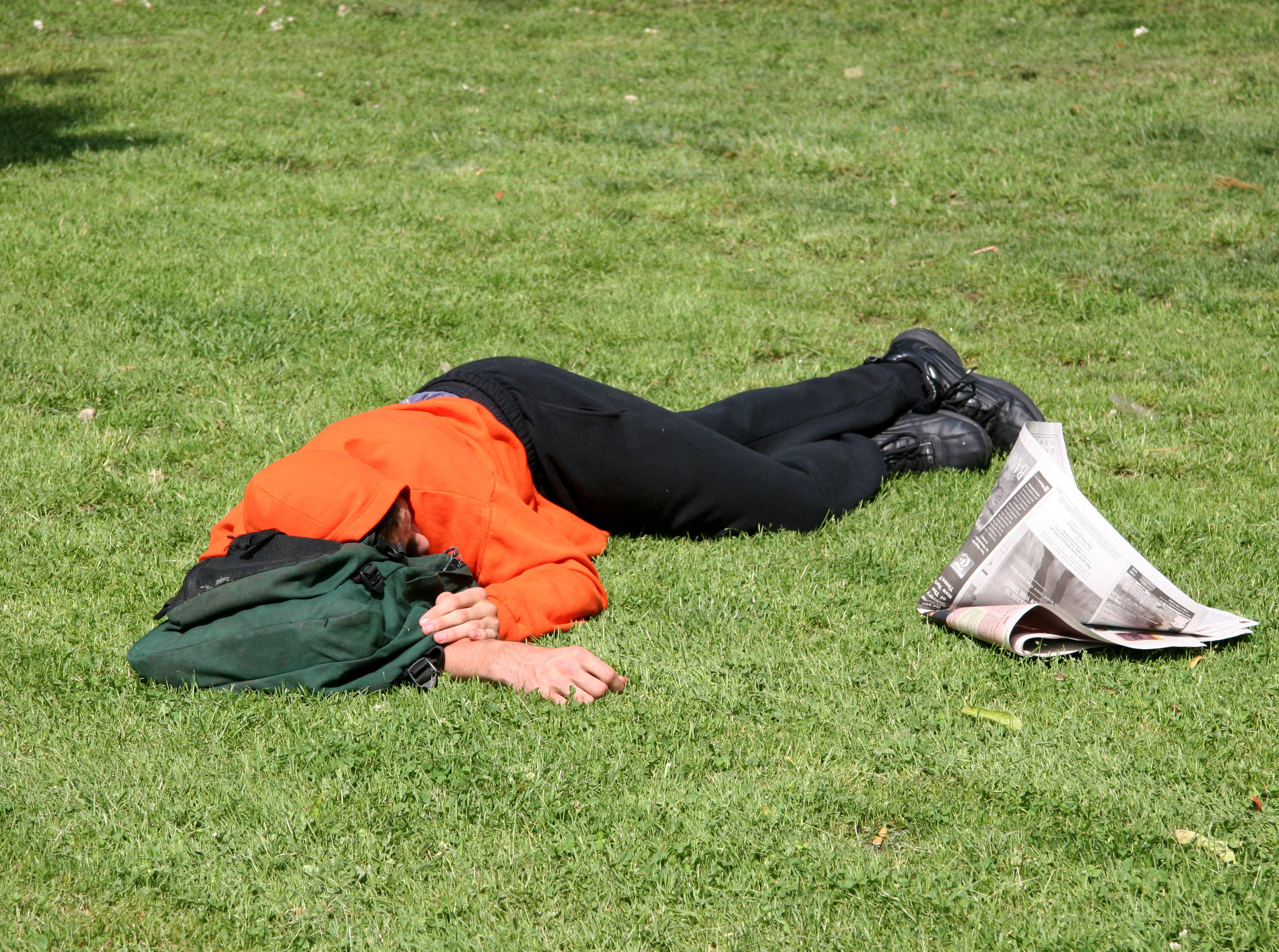 Napping after Reading the Morning News