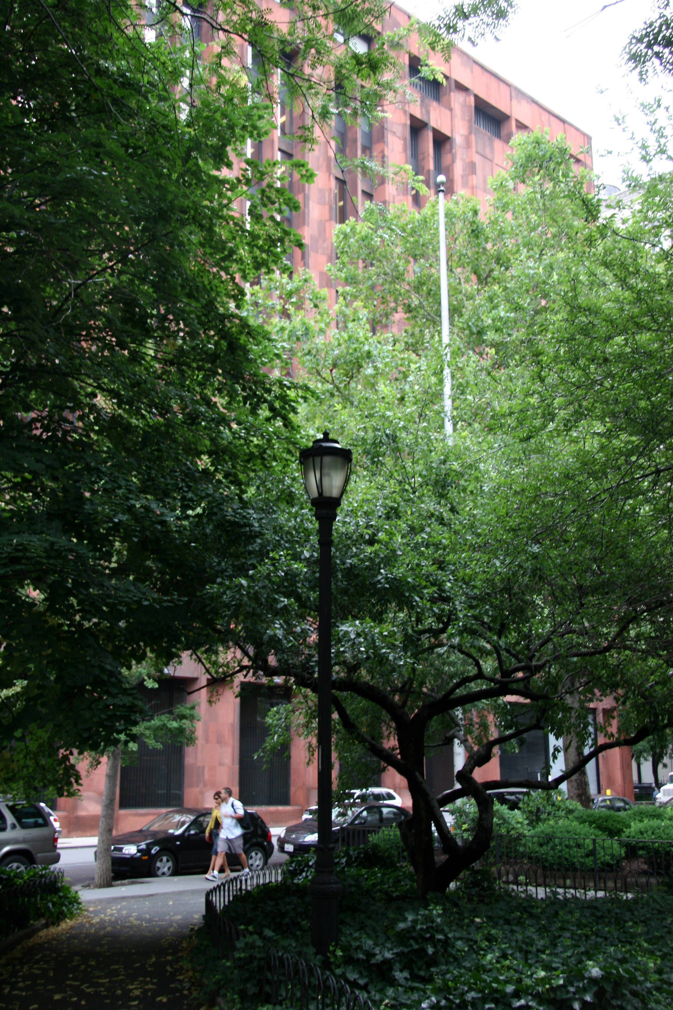 NYU Library