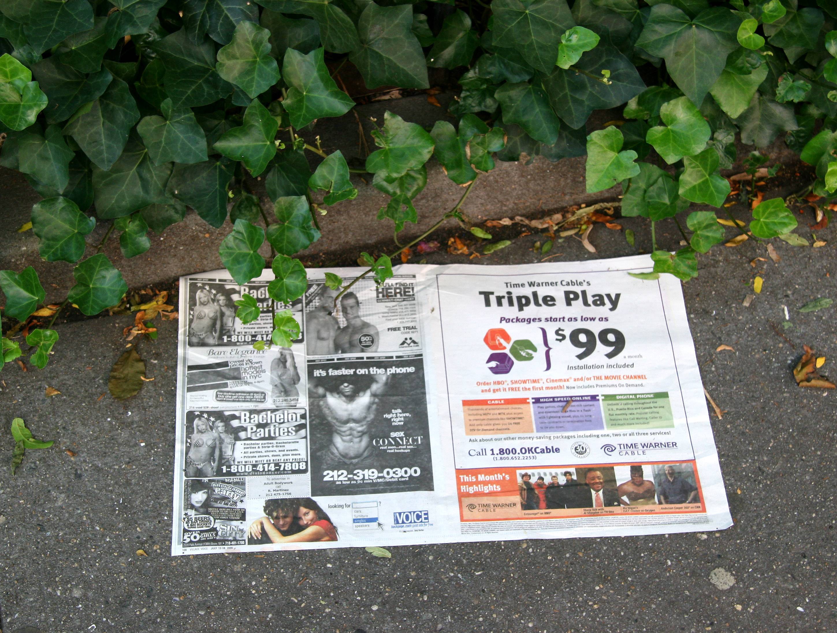 Village Voice