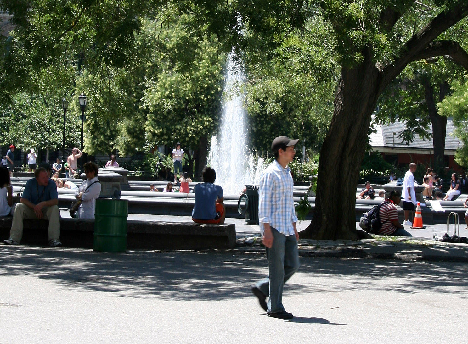 Fountain & Scholar Trees