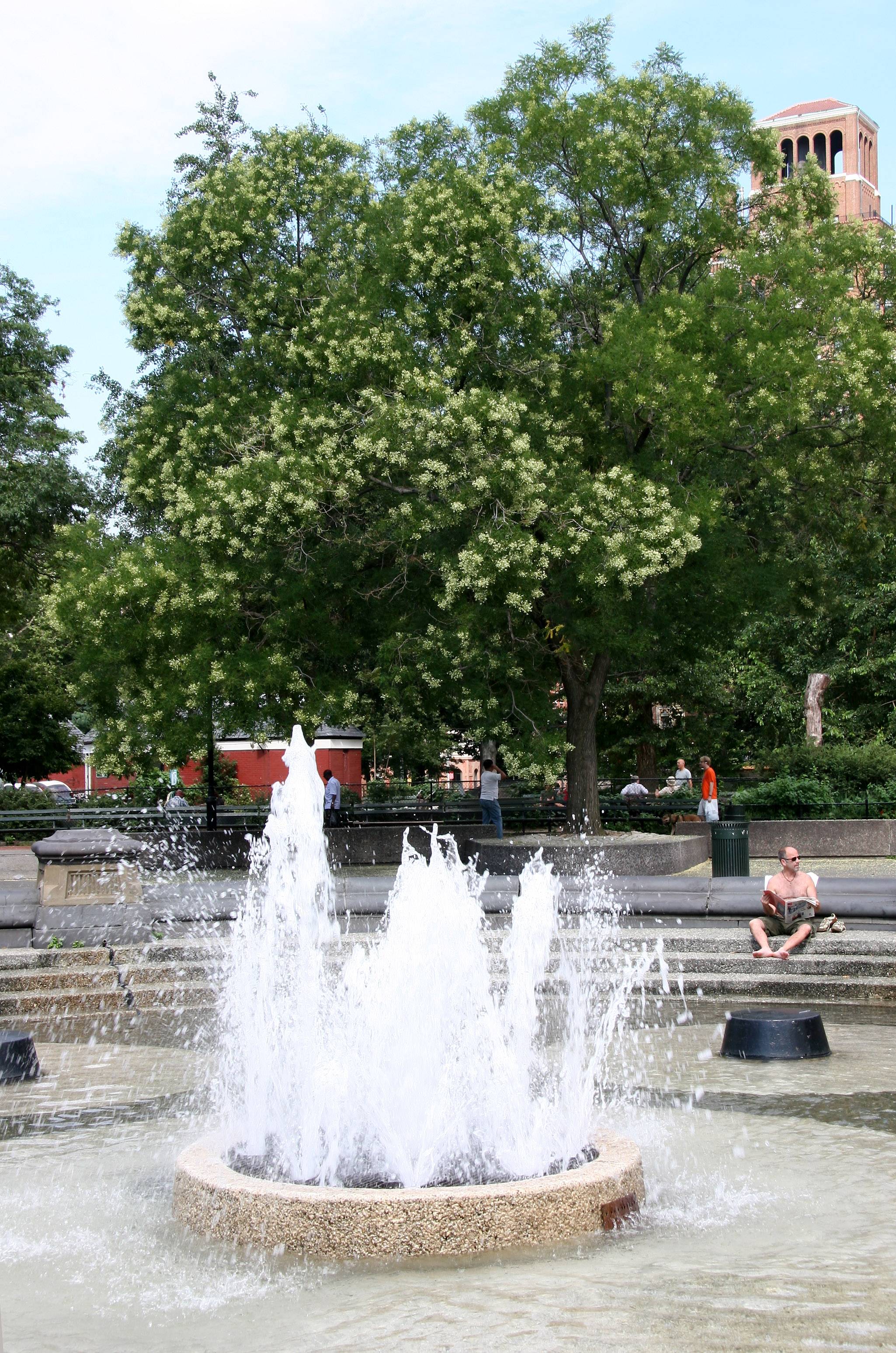 Fountain - Southwest View